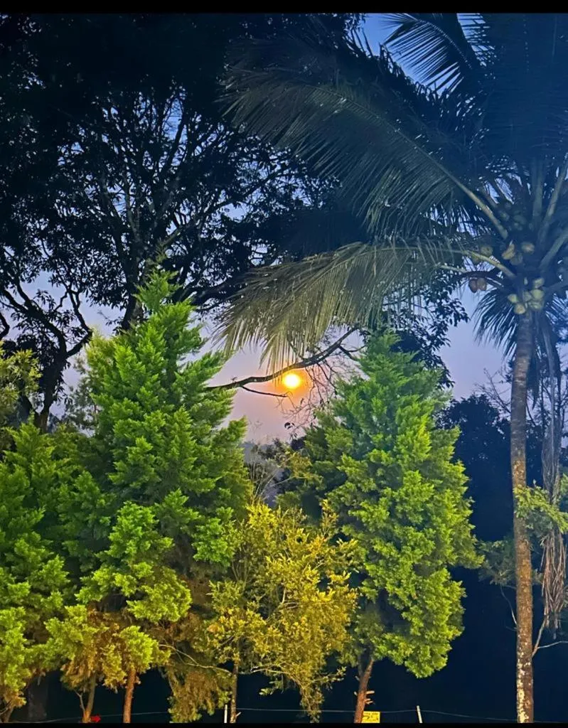 Jungle Hill Resort Coorg