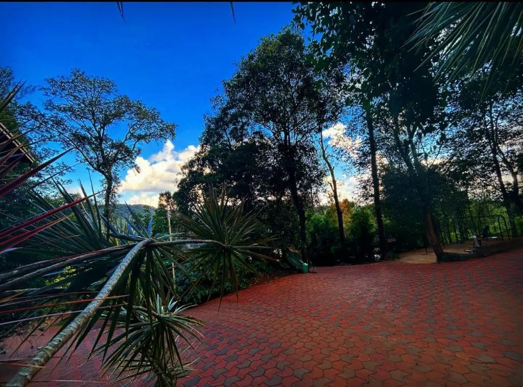 Jungle Hill Resort Coorg