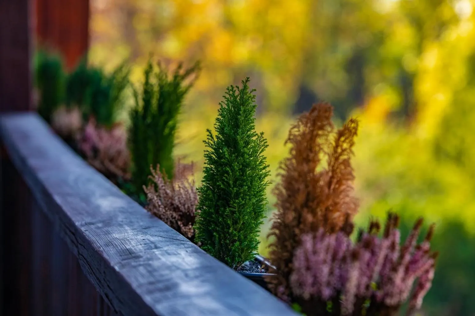 View (from property/room) in Zsóry Liget Hotel & Spa Superior