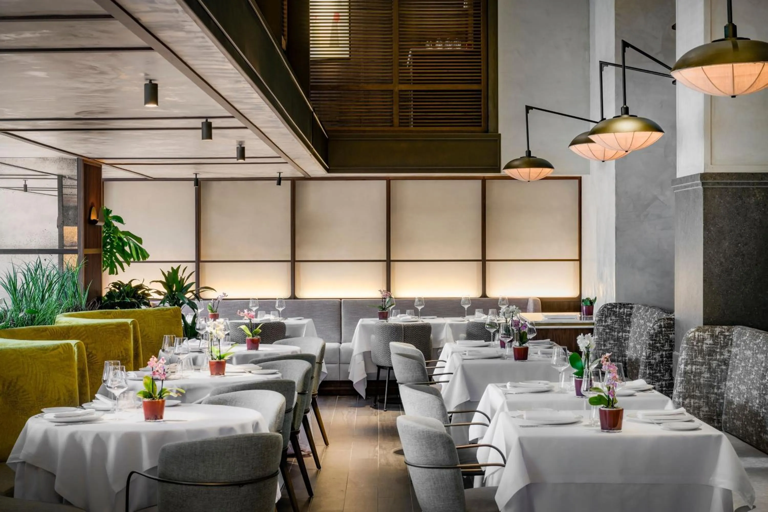 Restaurant/places to eat in The Westin Madrid Cuzco