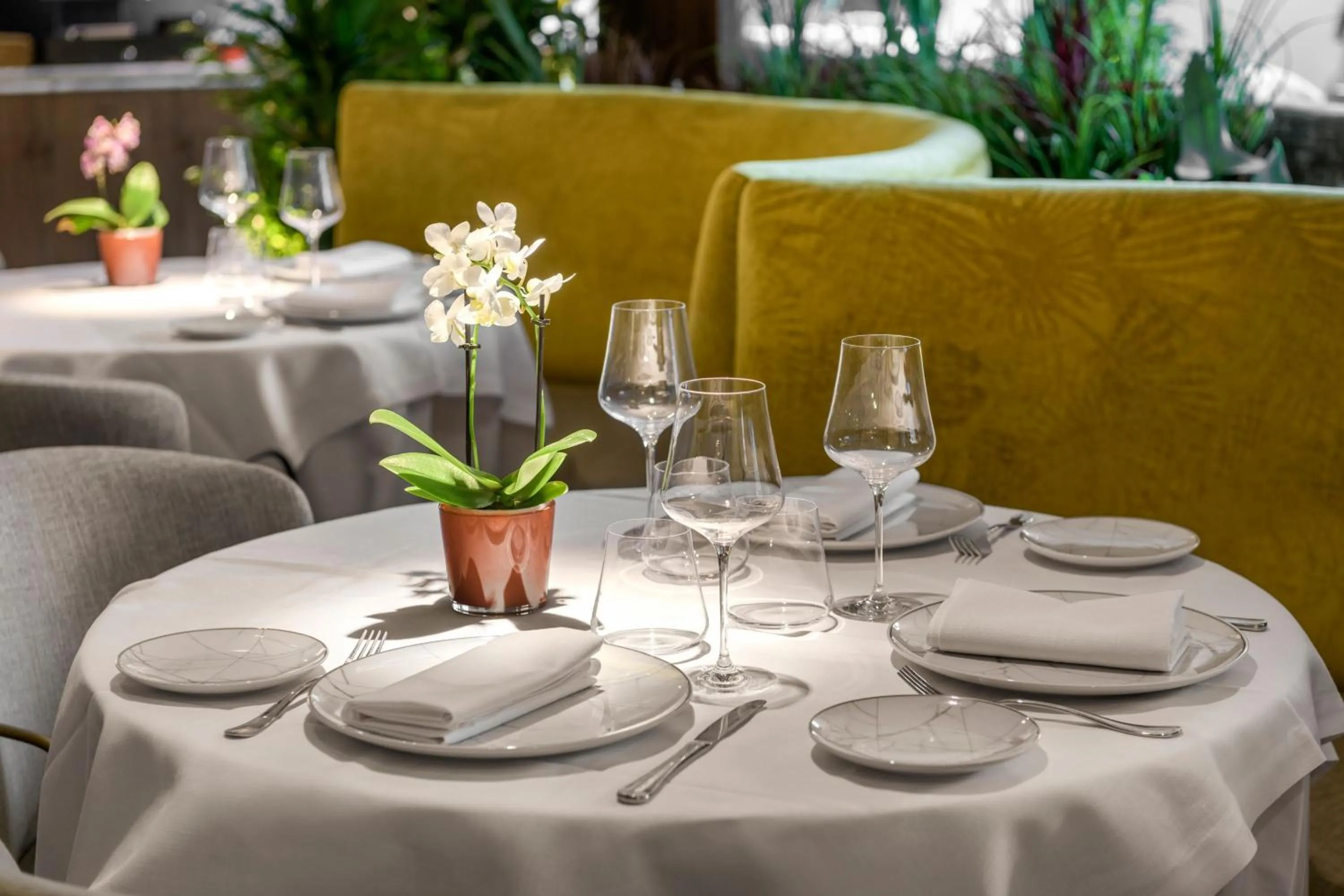 Restaurant/places to eat in The Westin Madrid Cuzco