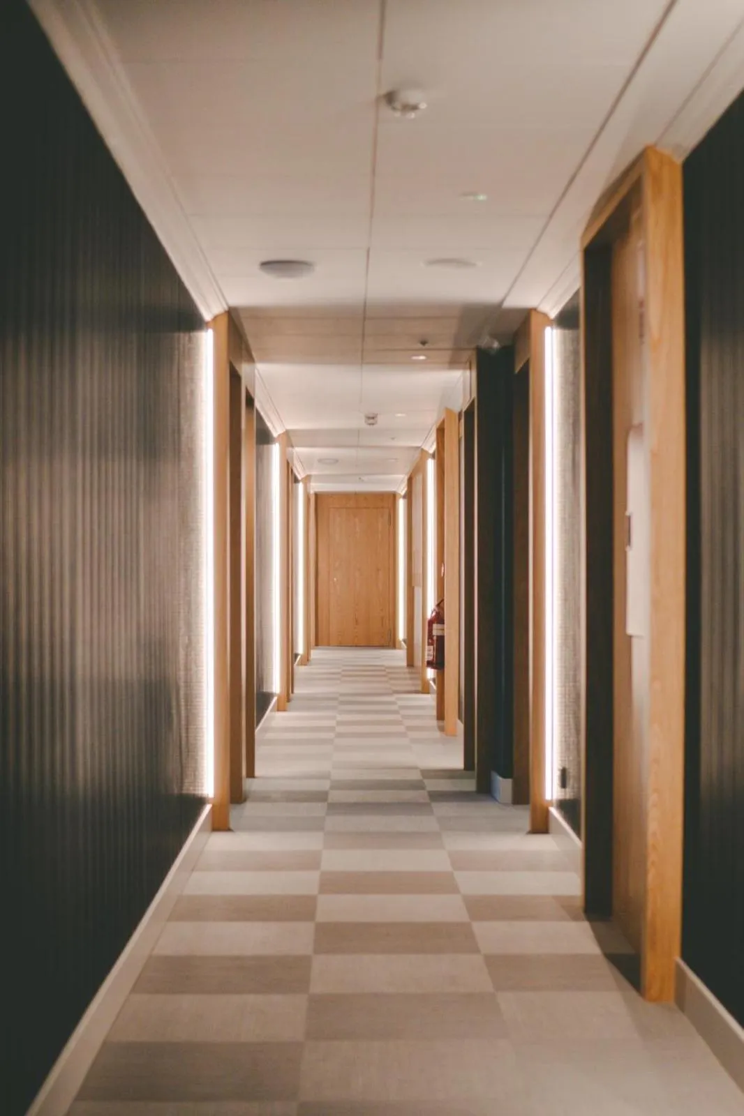 Area and facilities in HOTEL CANDOR