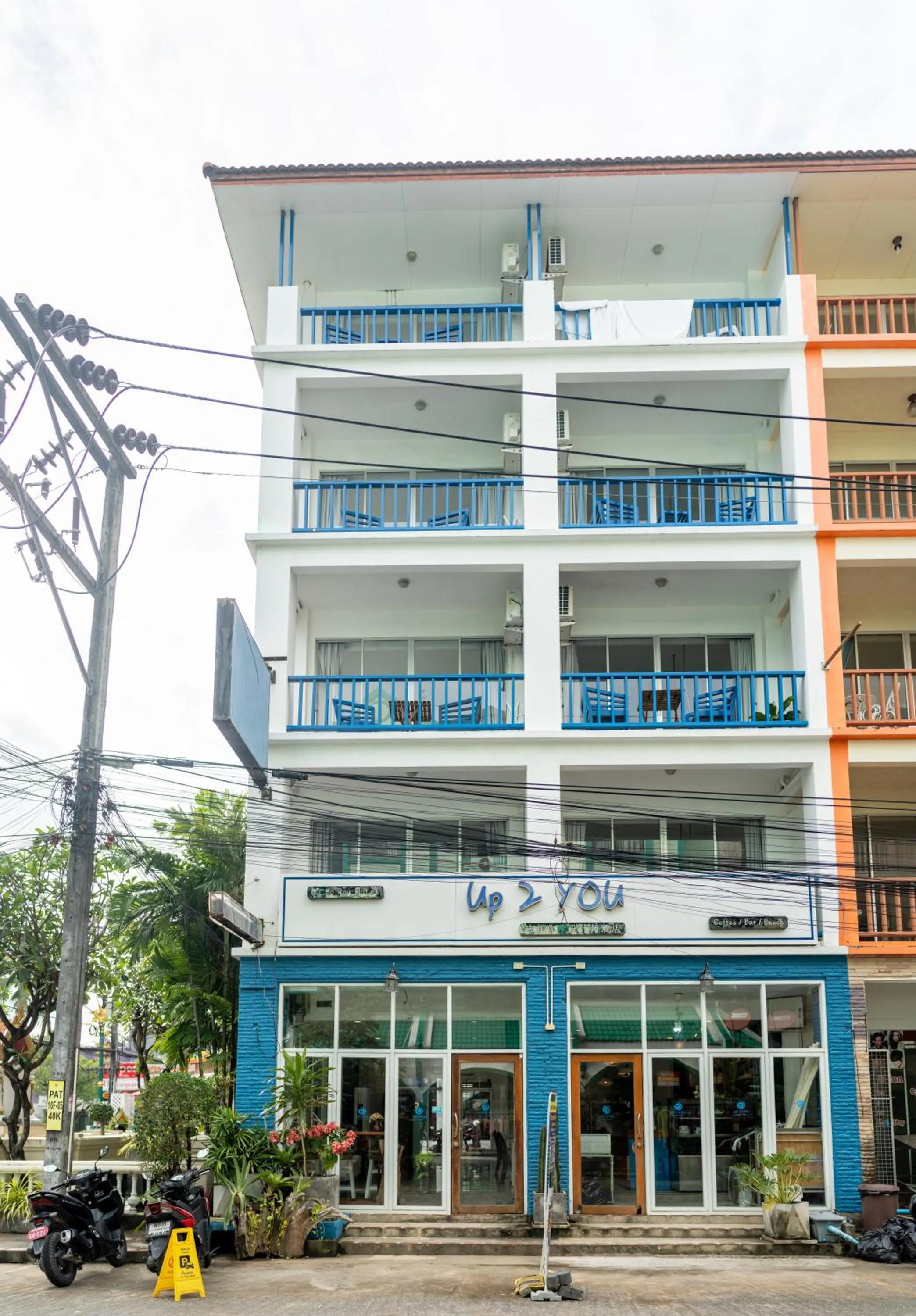 Property building in Meow Cat Cafe & Hotel