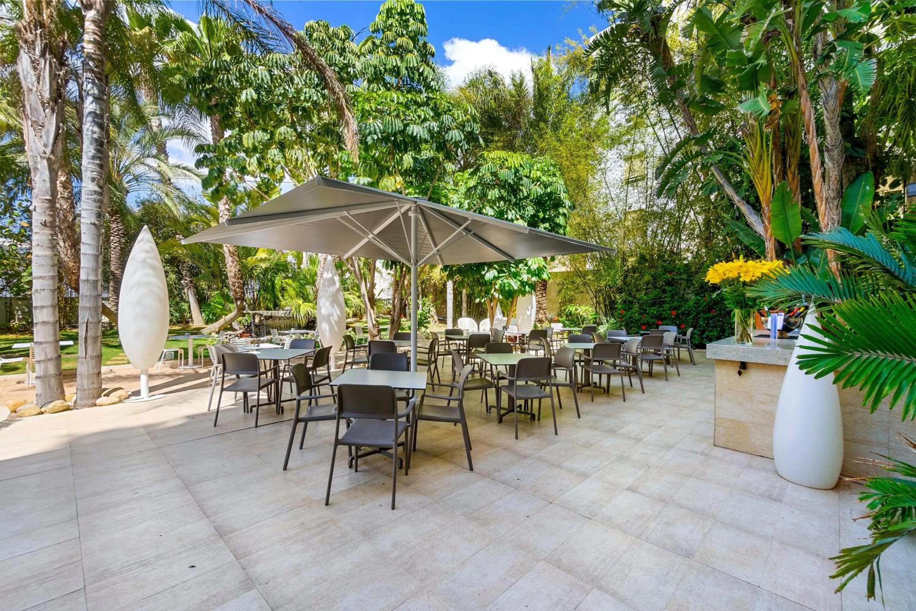 Patio in Hotel Areca