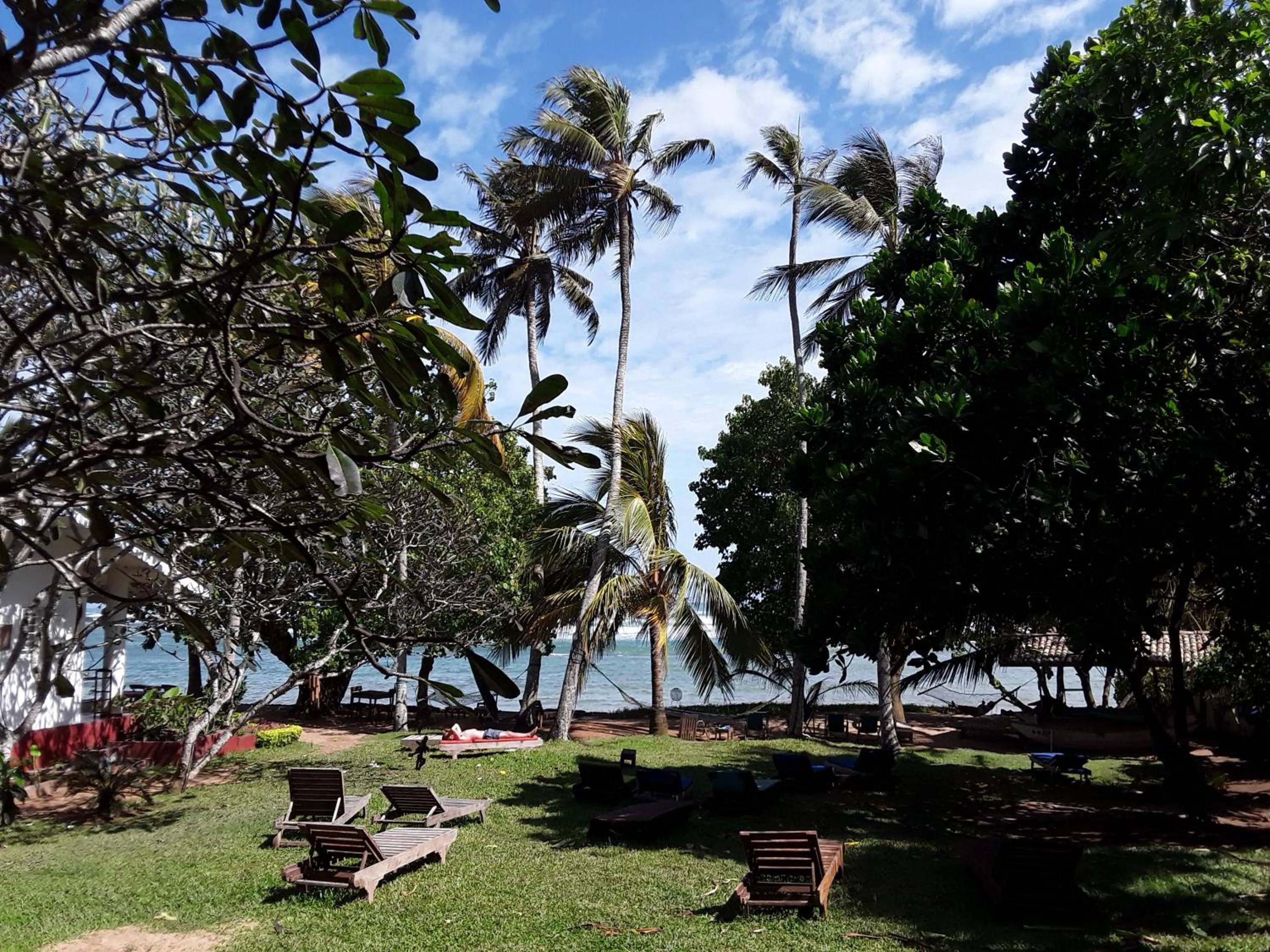 Garden view in Palm villa Mirissa hotel&spa