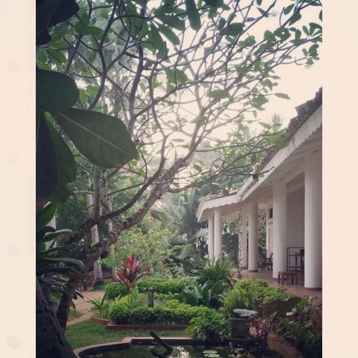 Property building in Palm villa Mirissa hotel&spa