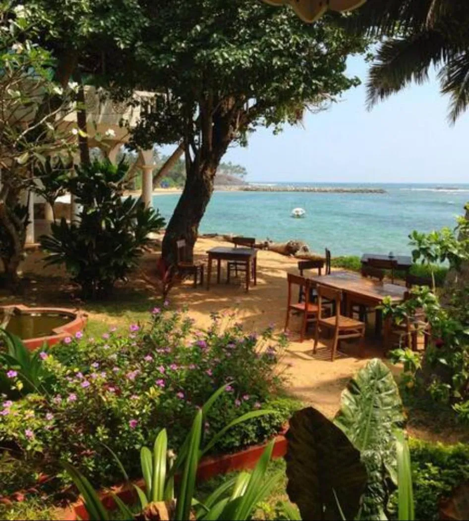 Restaurant/places to eat in Palm villa Mirissa hotel&spa