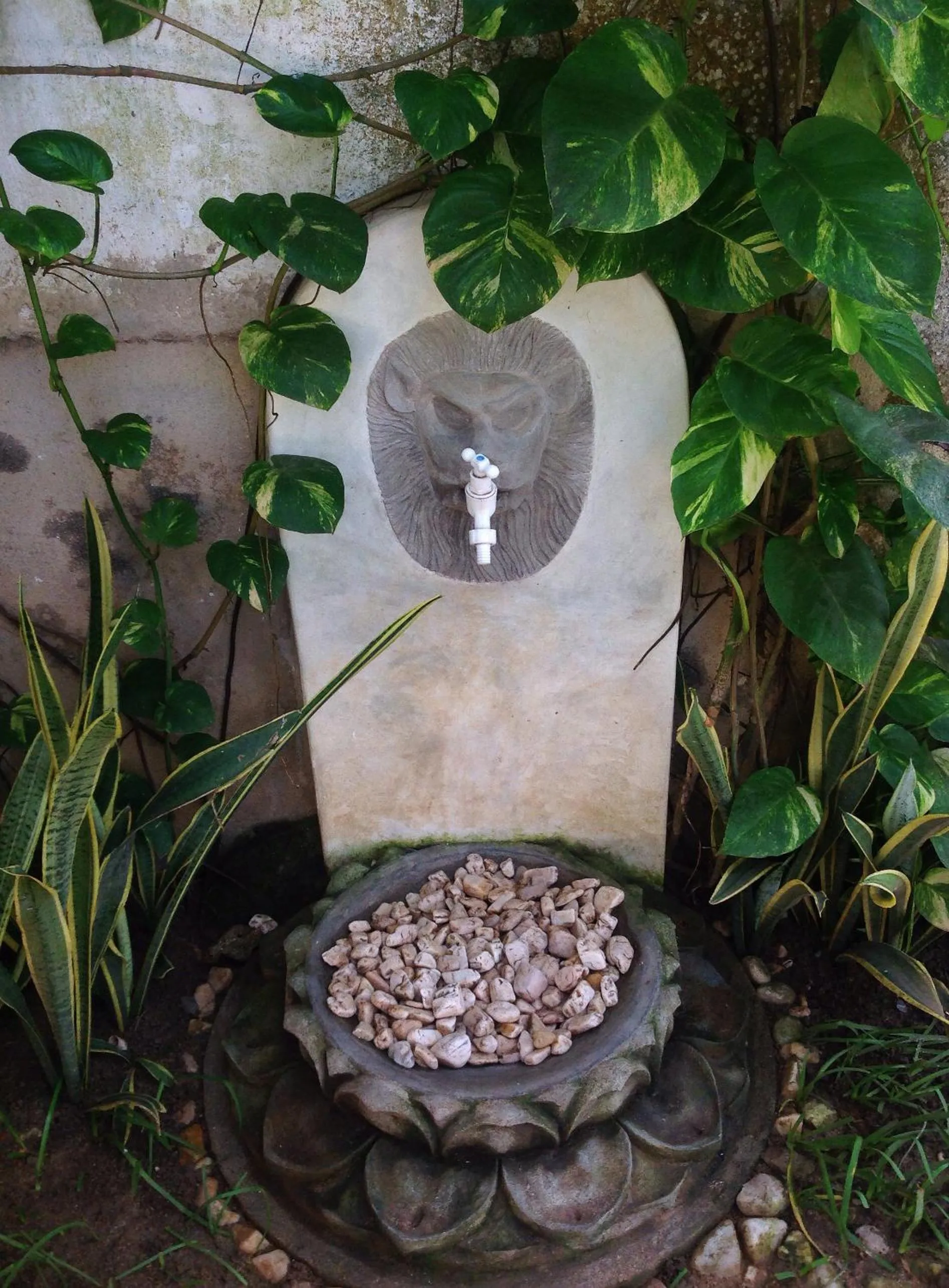 Decorative detail in Palm villa Mirissa hotel&spa