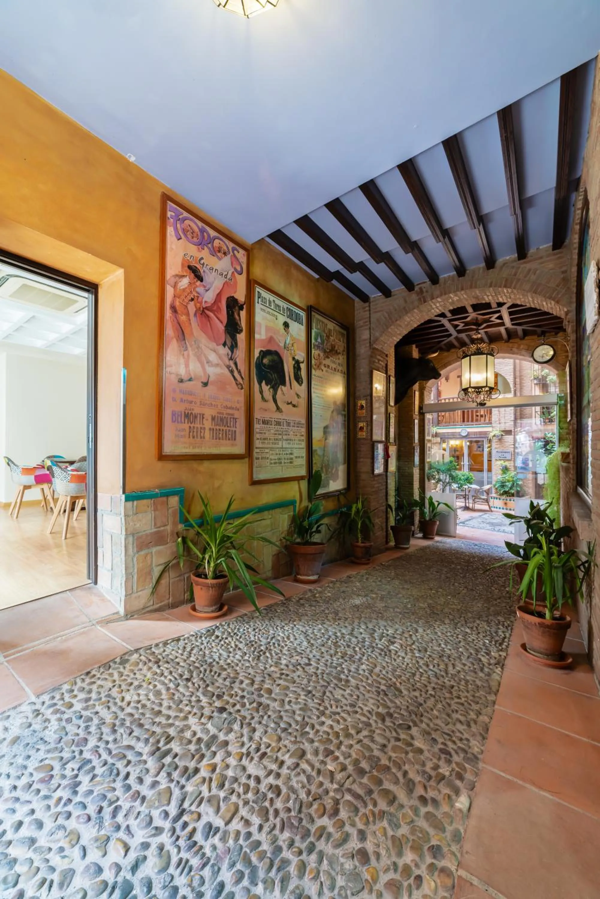 Patio in Hotel Posada del Toro
