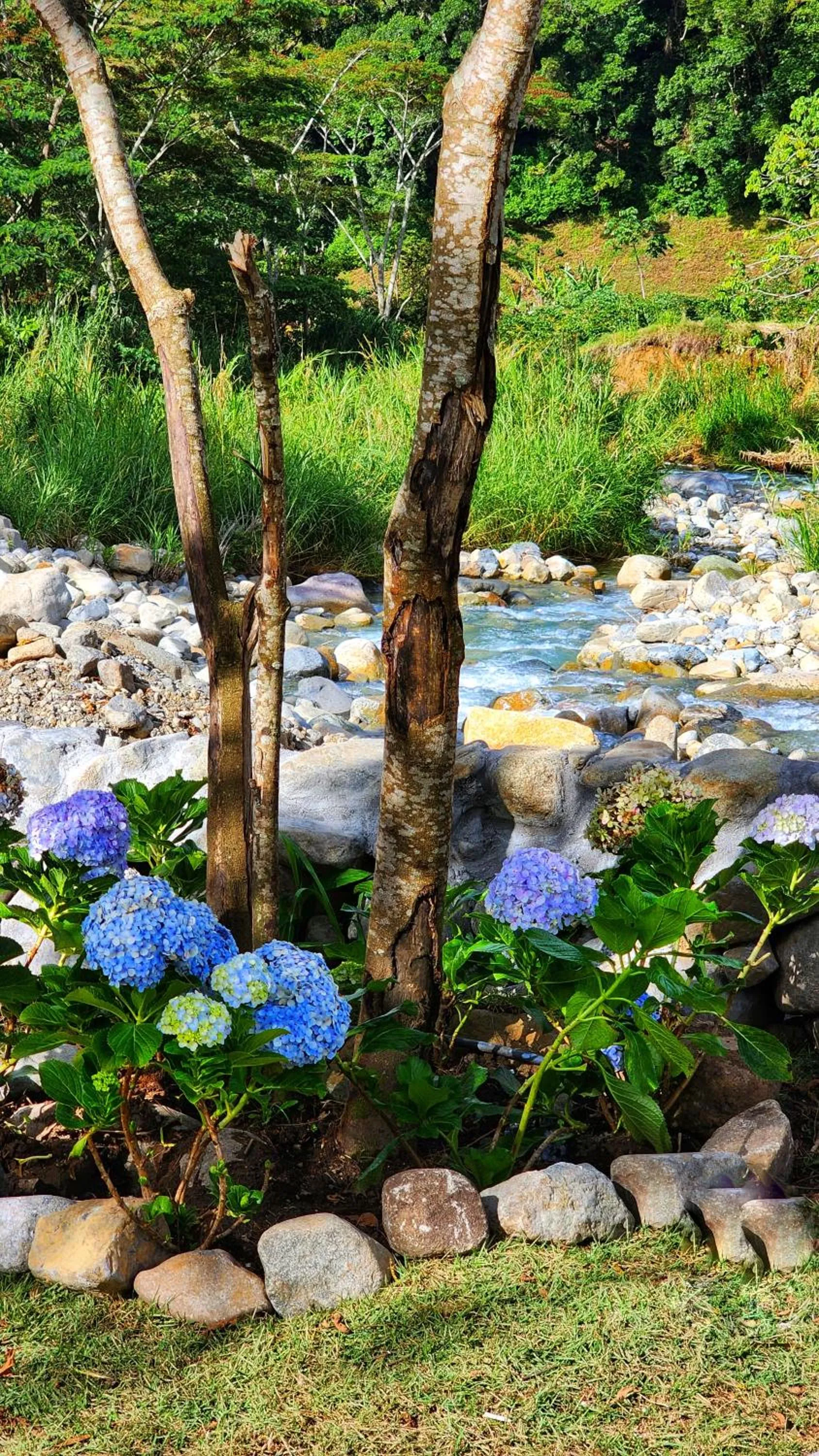 Garden in Rio Verde by Villa Alejandro
