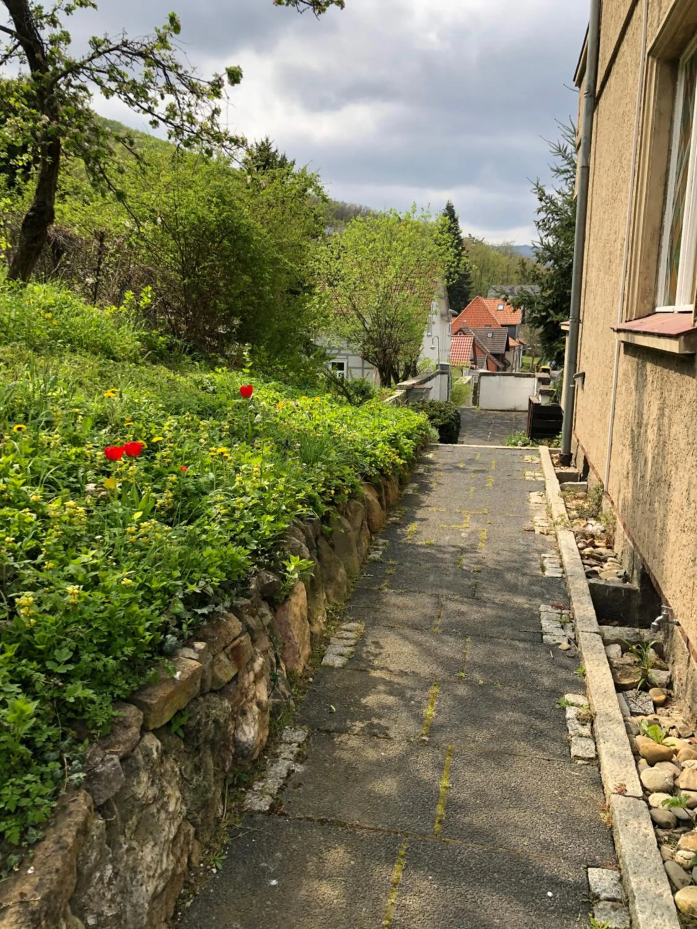 Street view in Haus Brockenblick