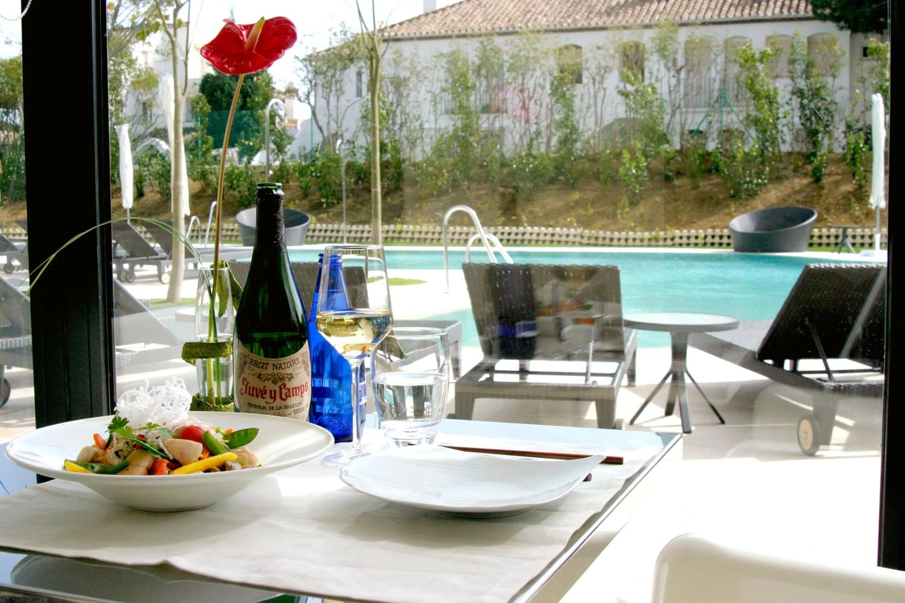 Restaurant/places to eat in Senator Banus