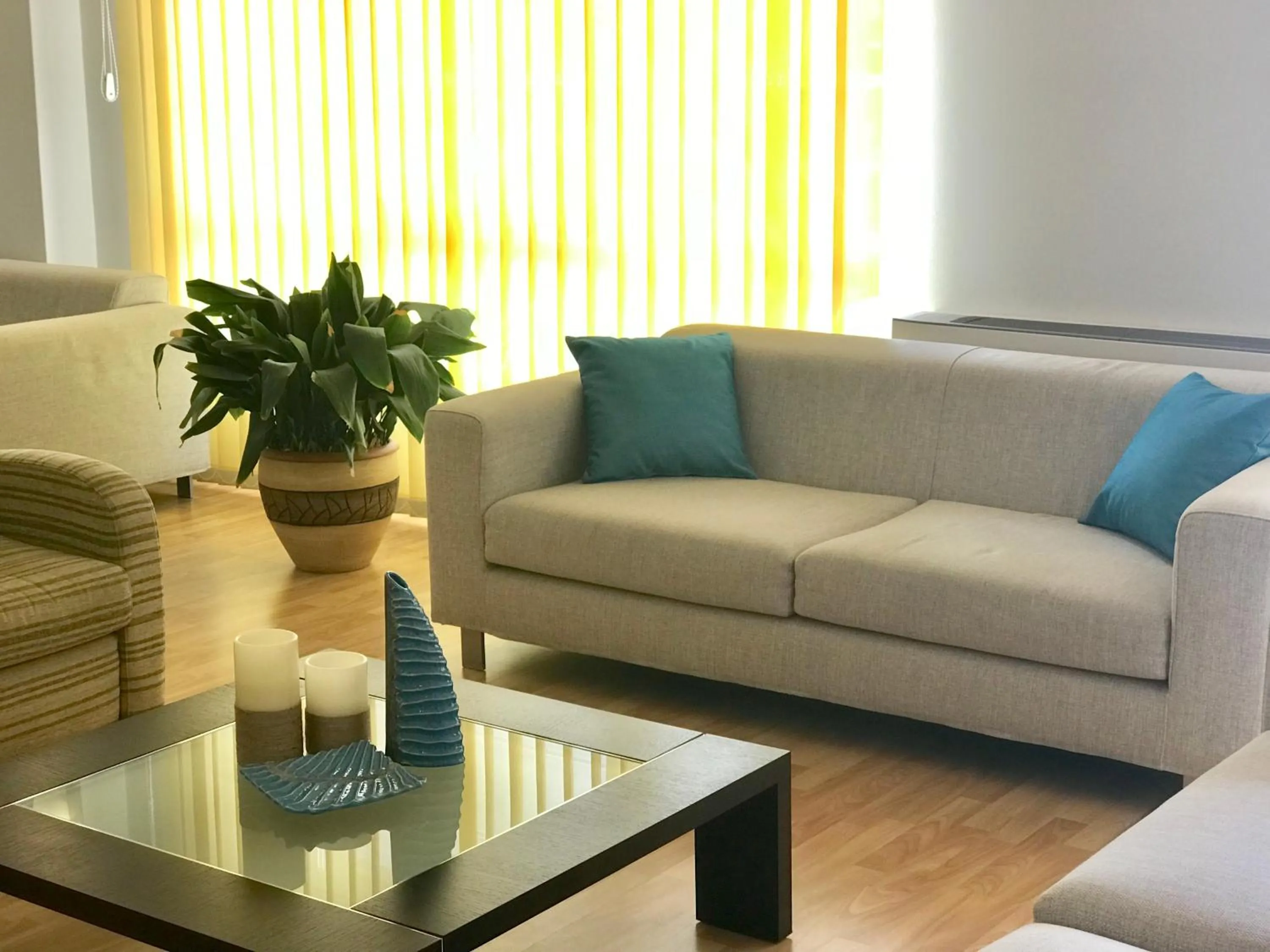 Communal lounge/ TV room in Hotel Nuevo Vichona Spa 3 estrellas Superior