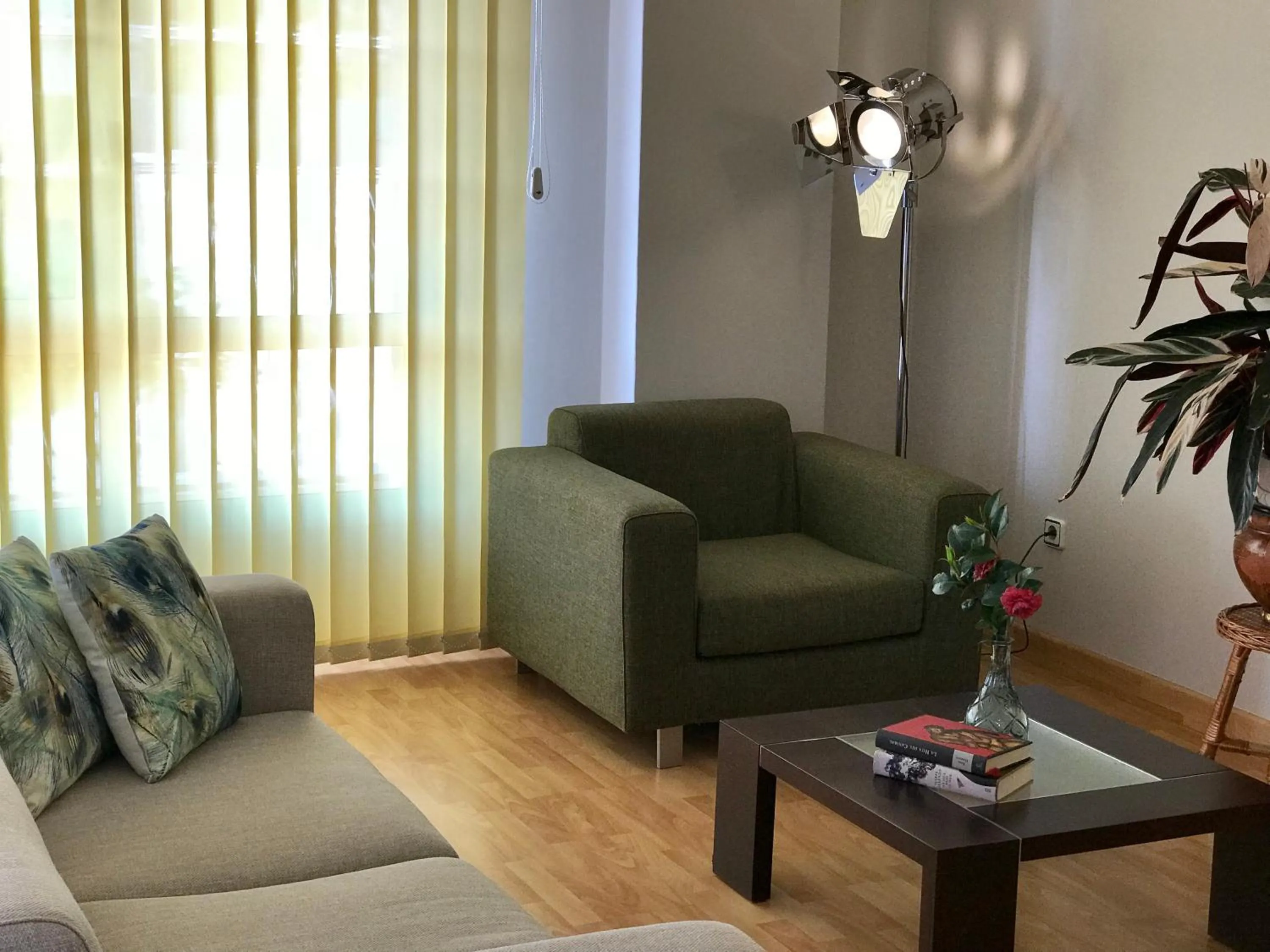 Communal lounge/ TV room in Hotel Nuevo Vichona Spa 3 estrellas Superior