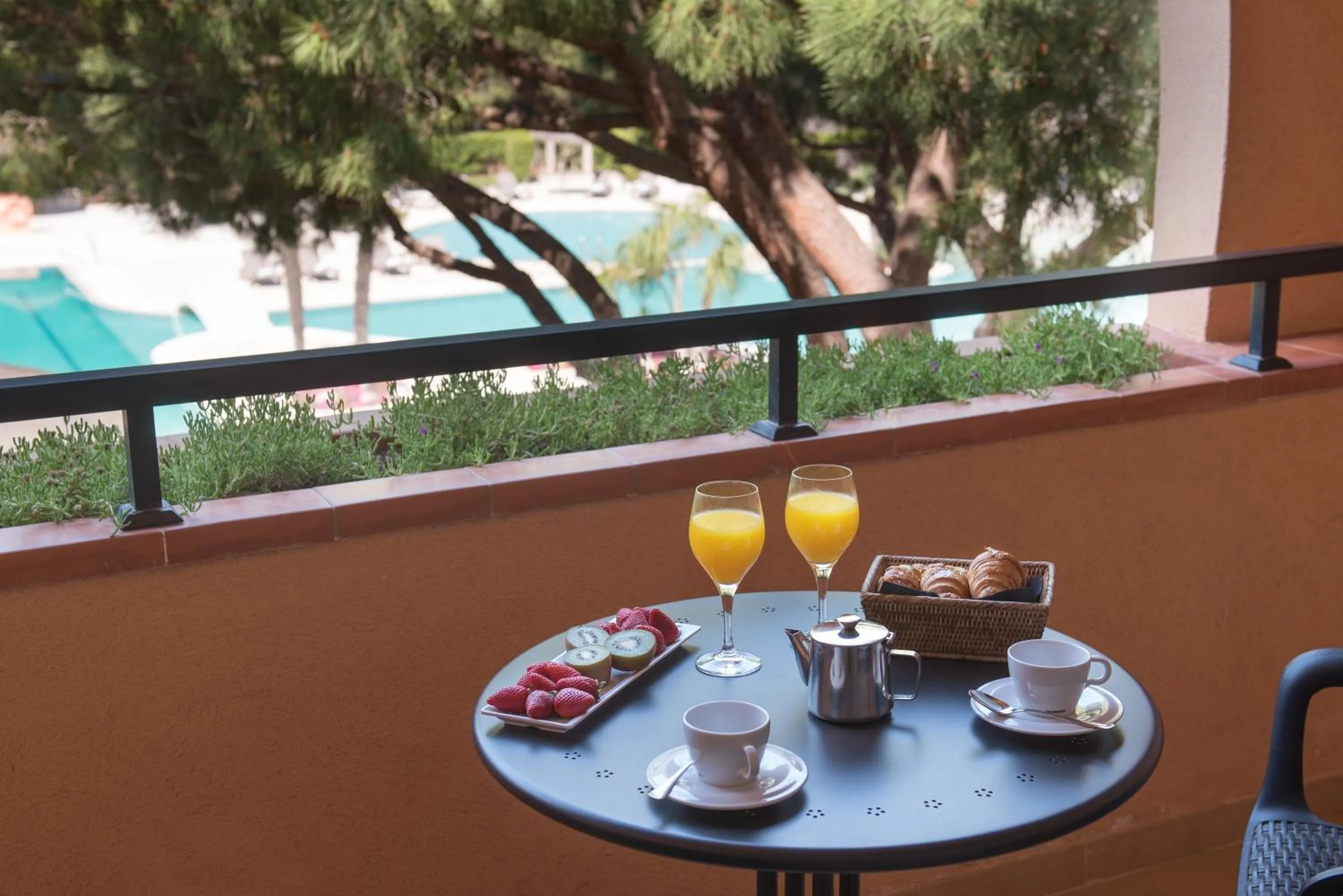 Garden in La Costa Hotel Golf & Beach Resort