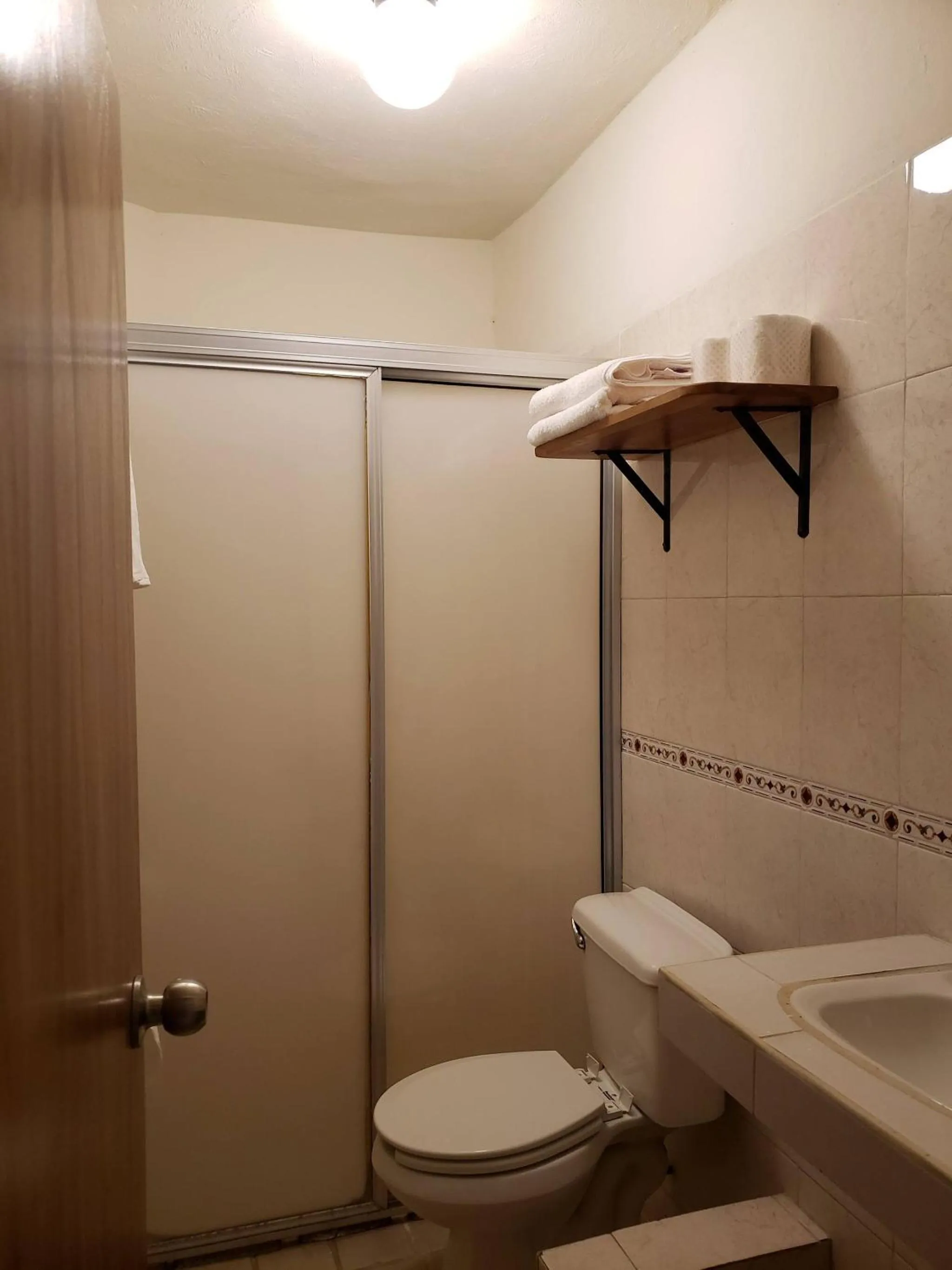 Toilet in Vive La Zona Romntica En Puerto Vallarta