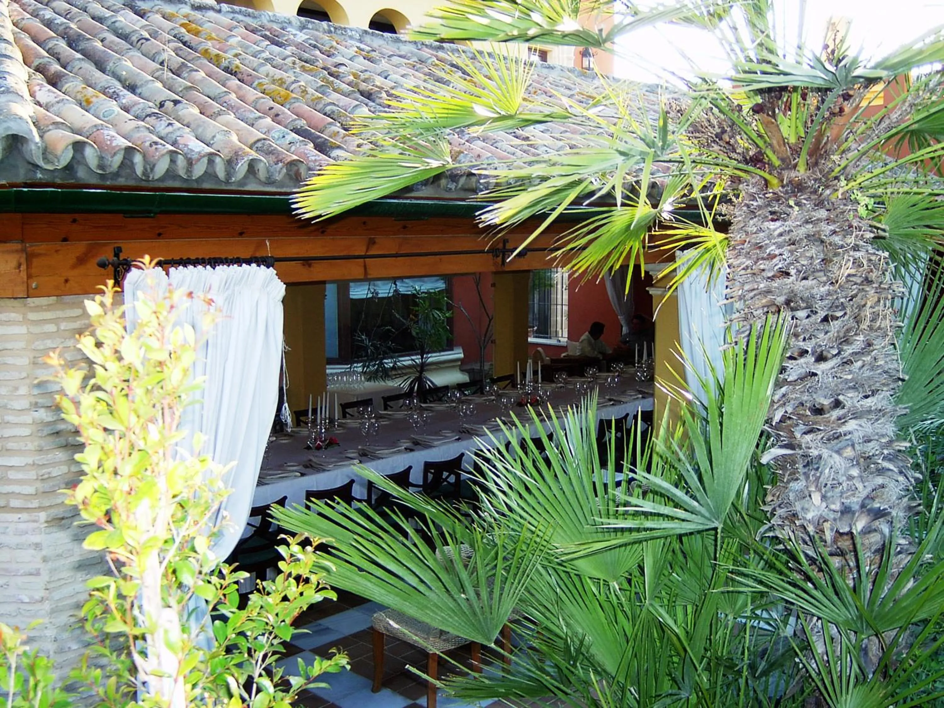 Garden in Hotel Soho Boutique Vistahermosa