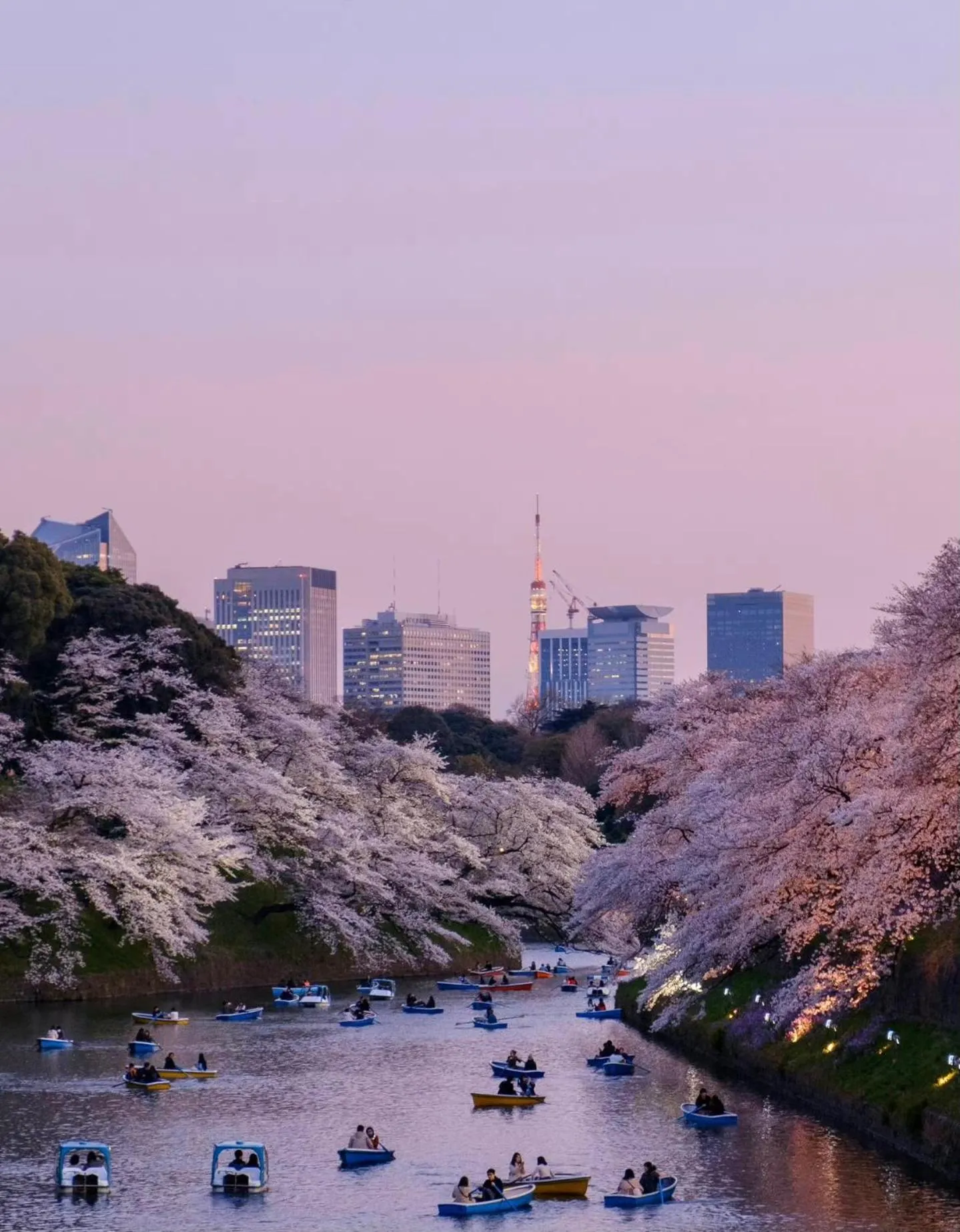season guest house in nishi shinjuku 100 square meters, 4 bedrooms, 2 living rooms