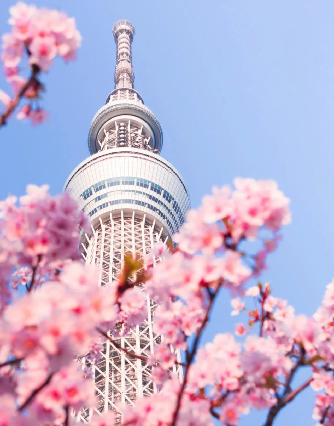 season guest house in nishi shinjuku 100 square meters, 4 bedrooms, 2 living rooms