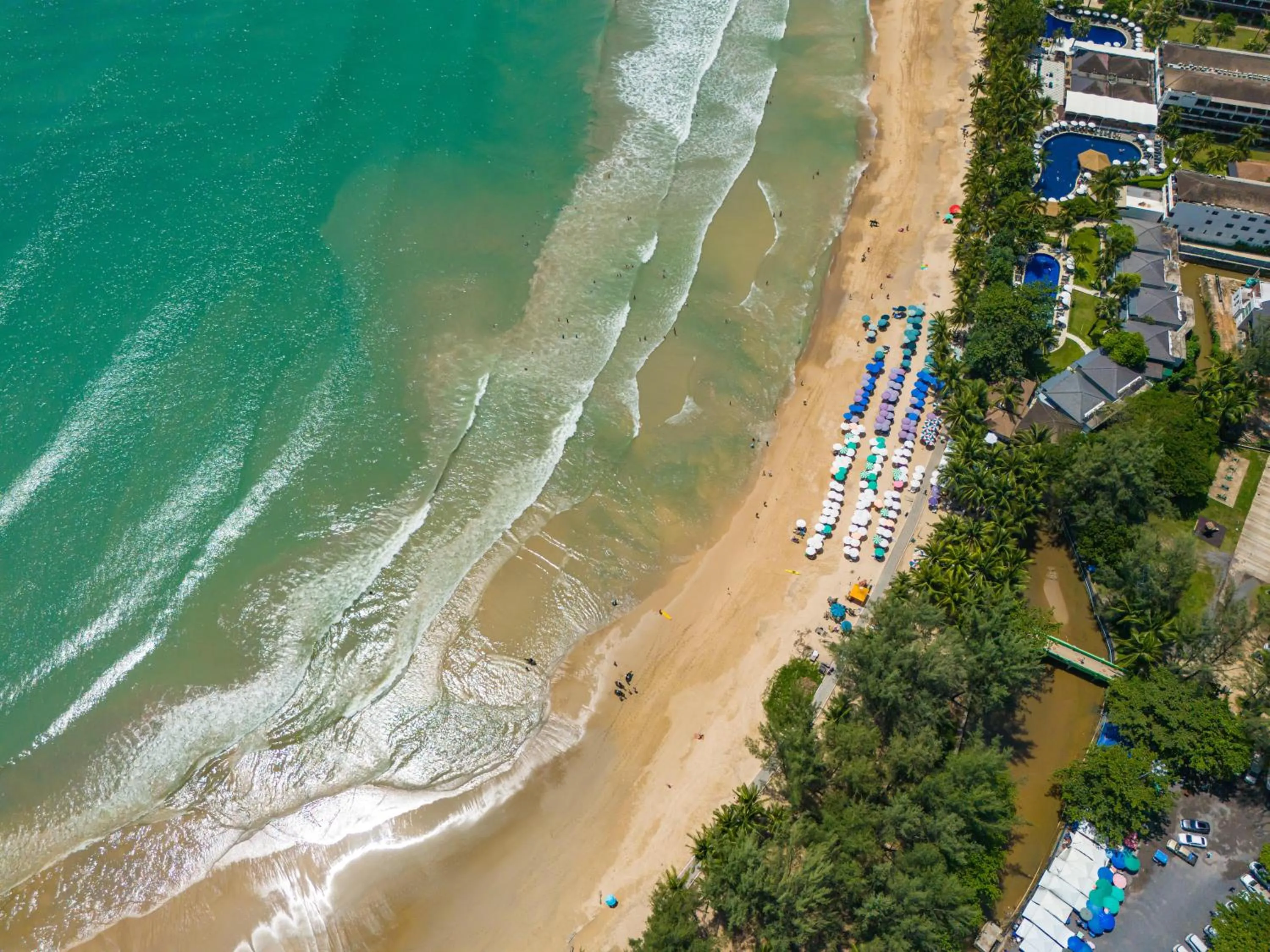 Catnip Seaside Hotel&Cafe