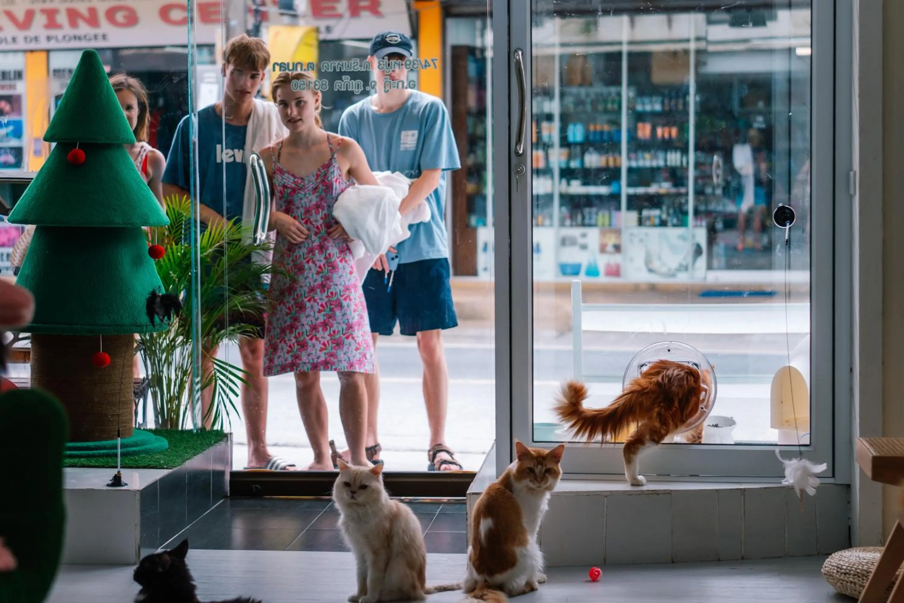 Lobby or reception in Catnip Seaside Hotel&Cafe