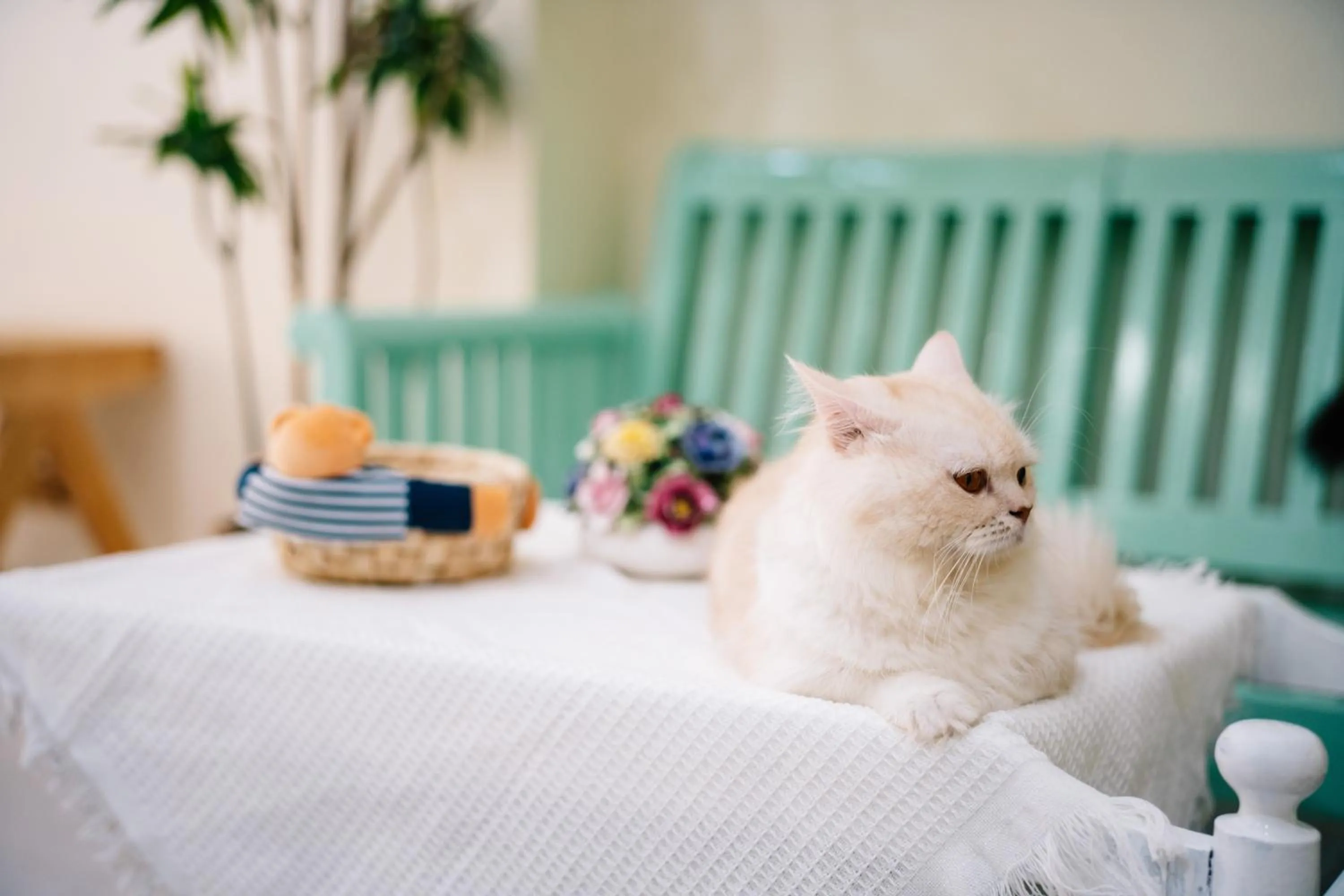 Lobby or reception in Catnip Seaside Hotel&Cafe
