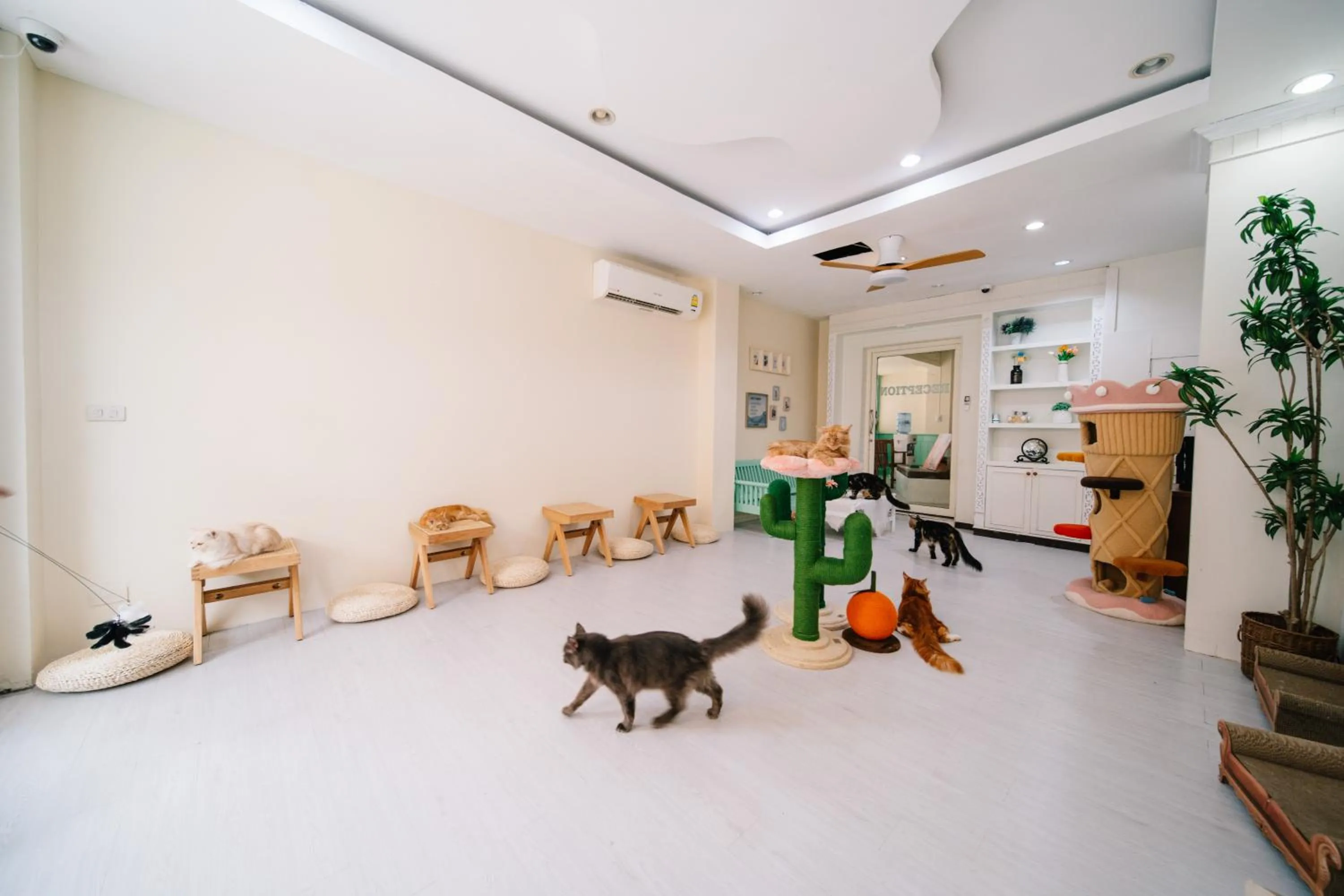 Lobby or reception in Catnip Seaside Hotel&Cafe