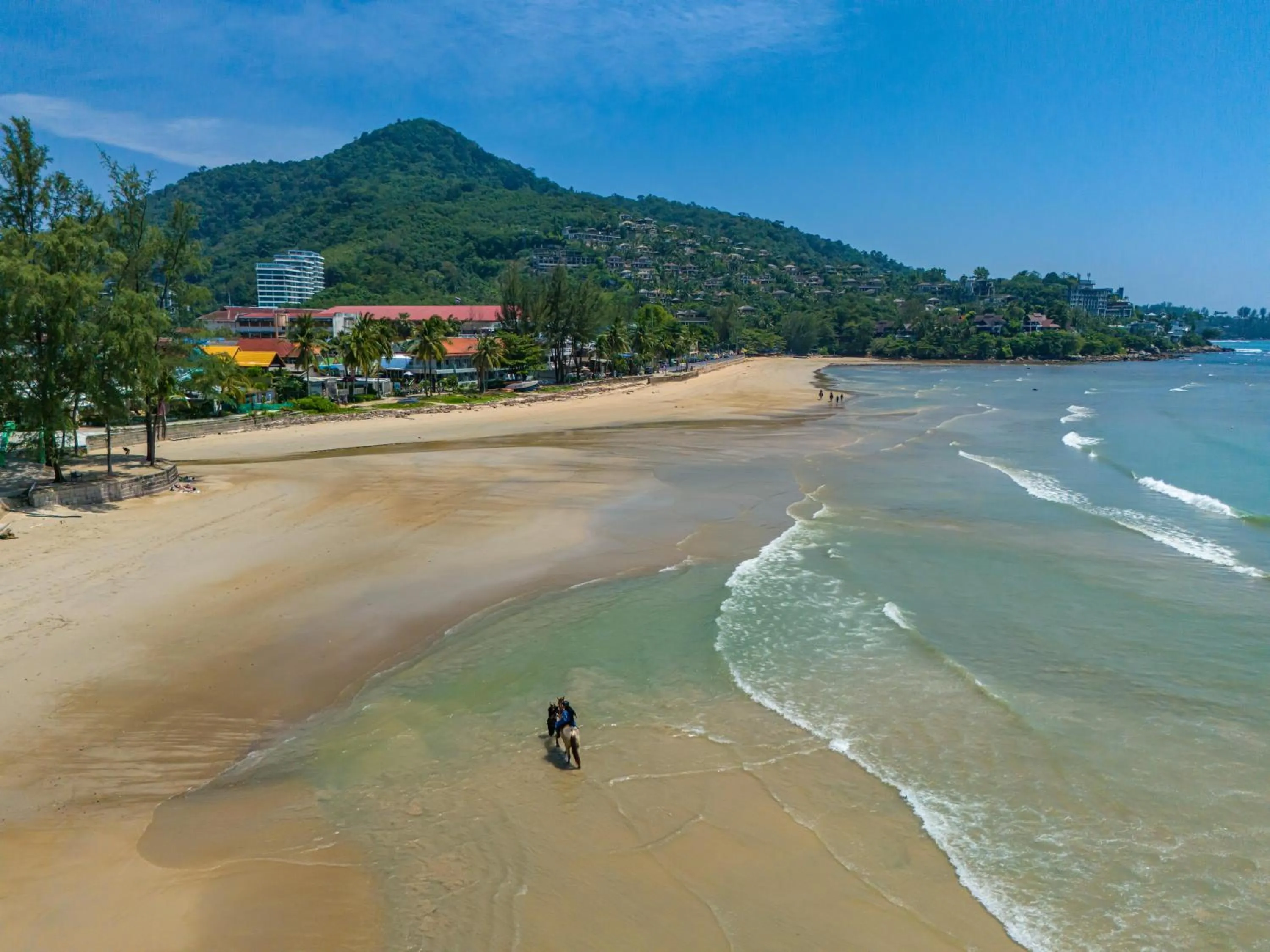 Catnip Seaside Hotel&Cafe