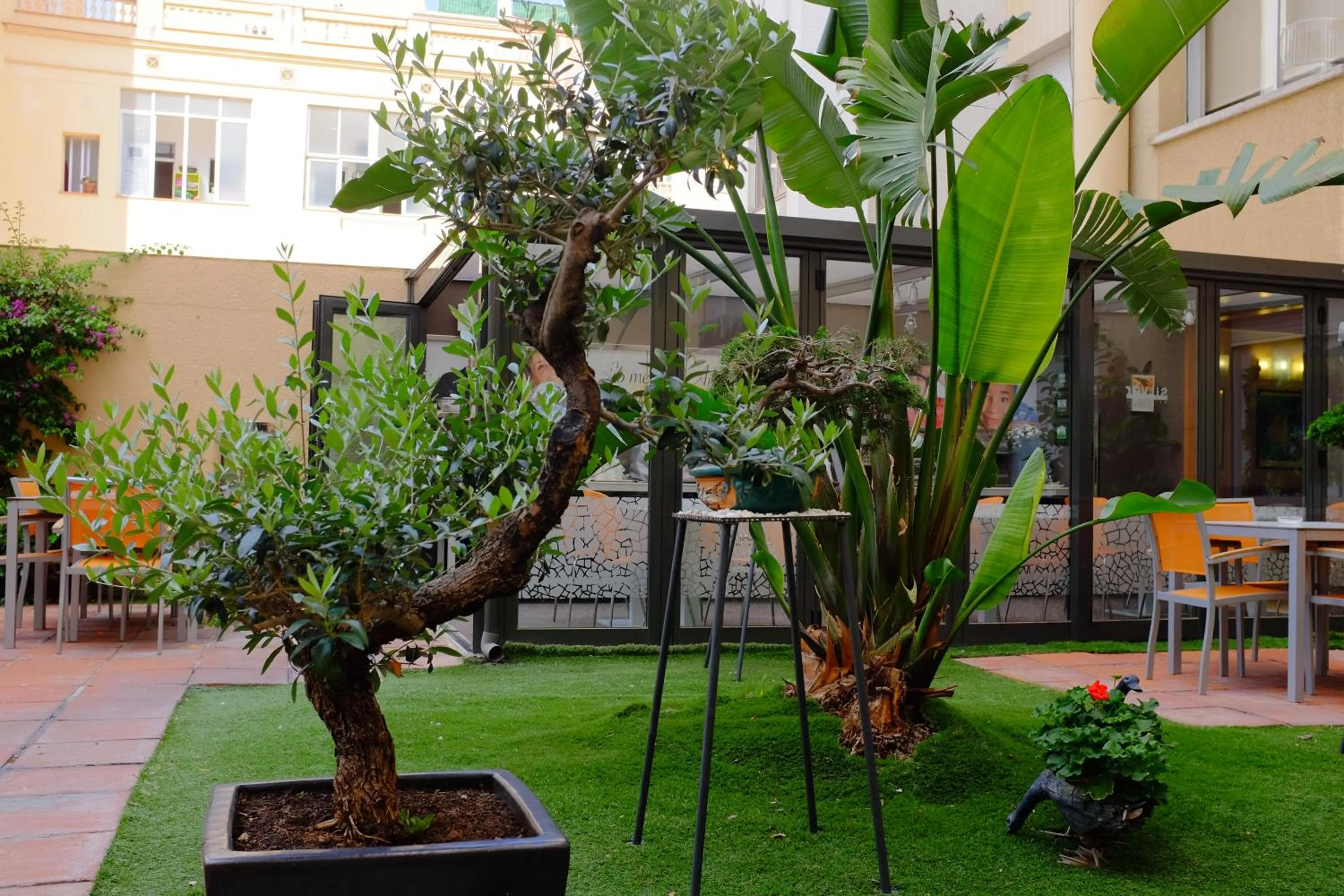 Patio in Aparthotel Silver