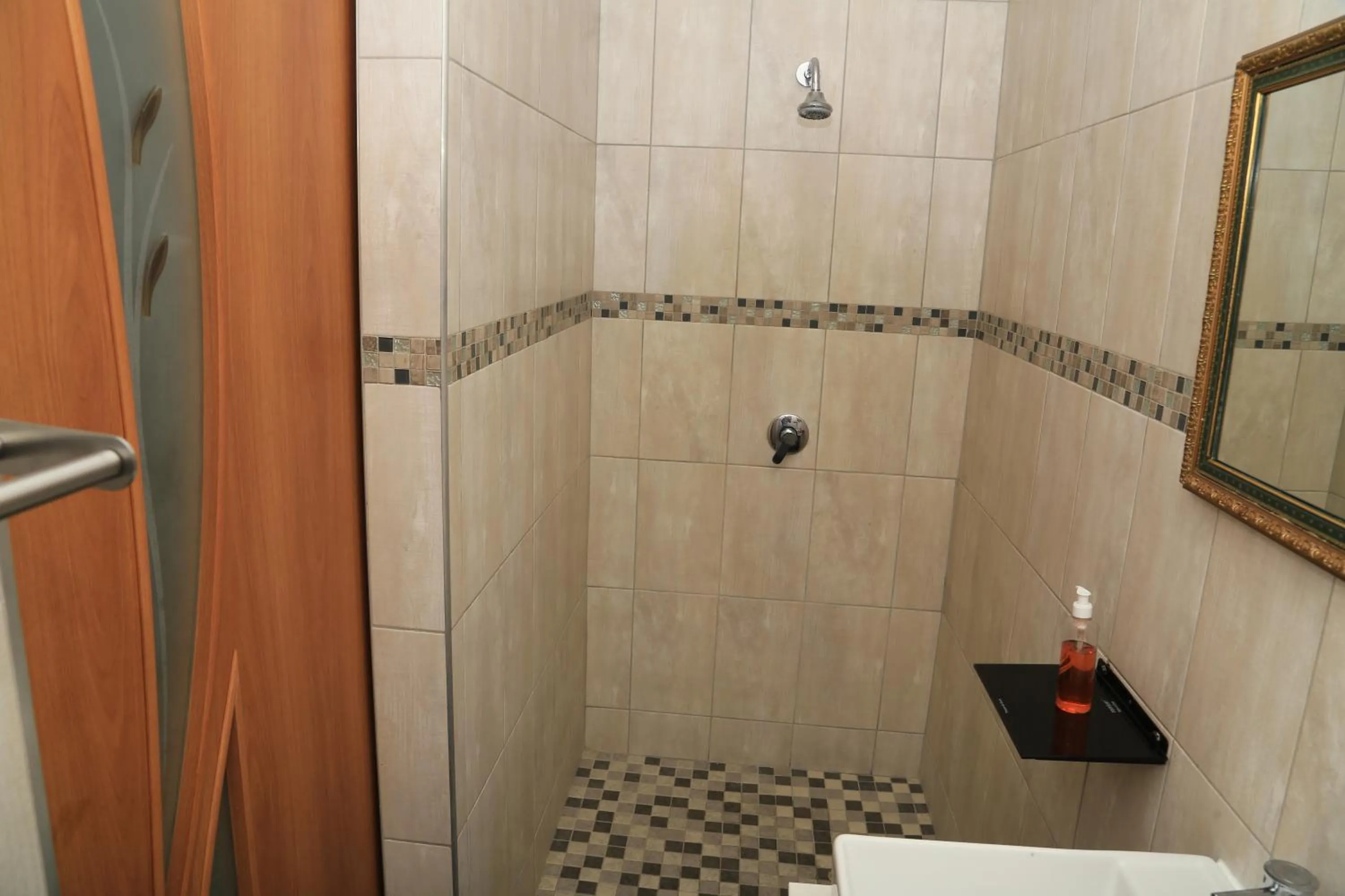 Shower in Coco Palm Bed & Breakfast