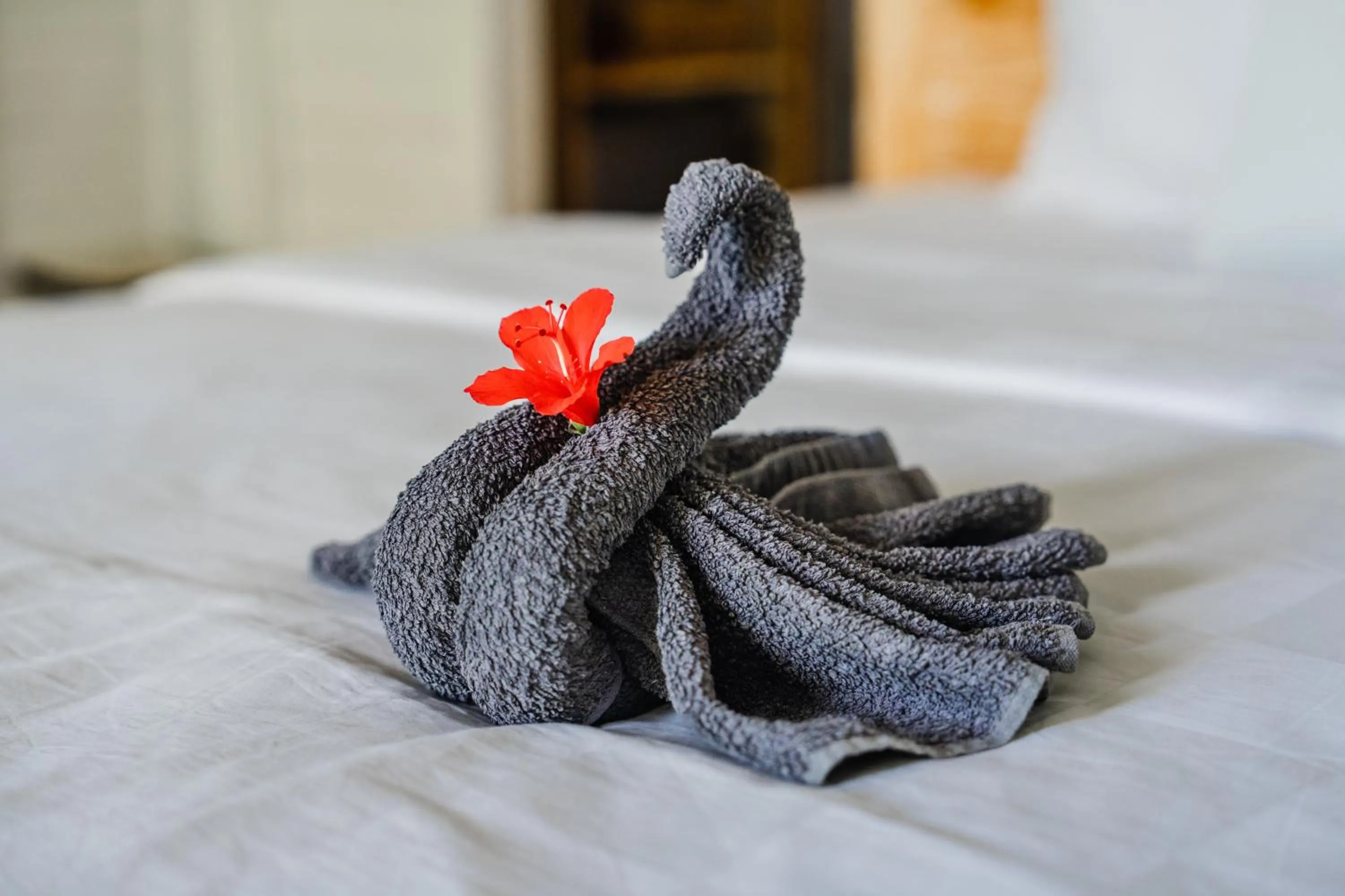 Bed in Mambo Beach Resort