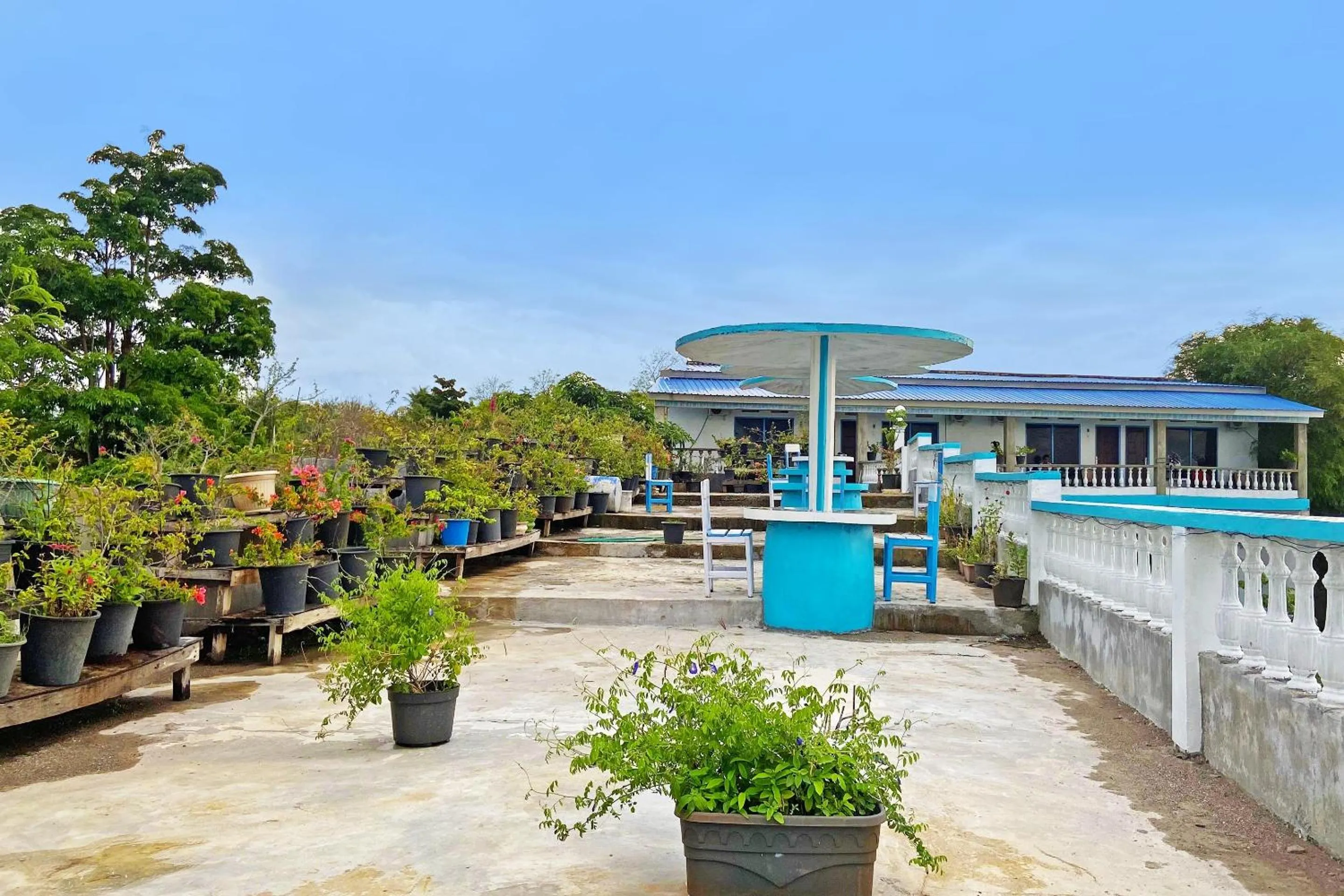 Lobby or reception in OYO 91927 Homestay Kebun