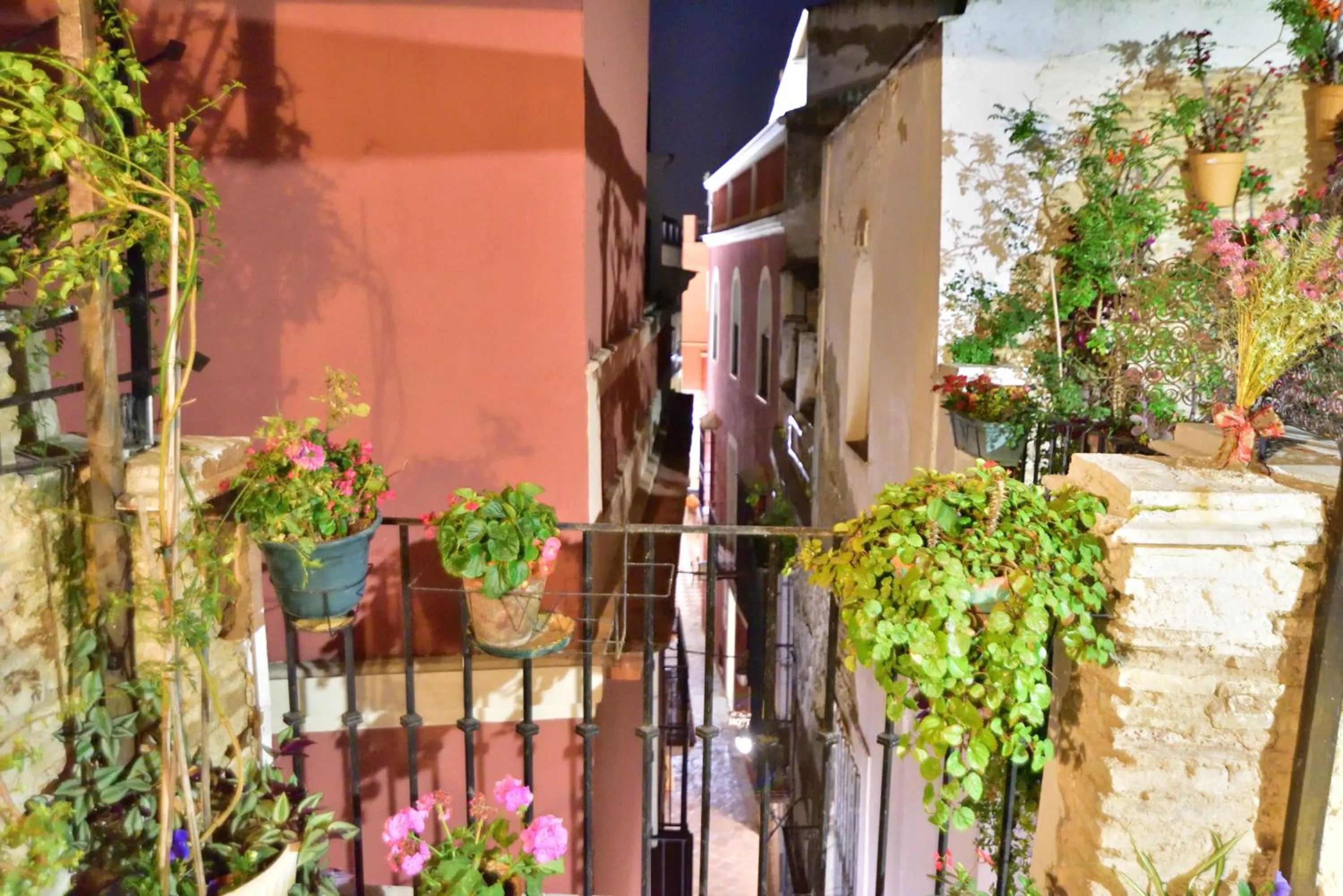 View (from property/room) in Casa Tenorio Barrio de Santa Cruz