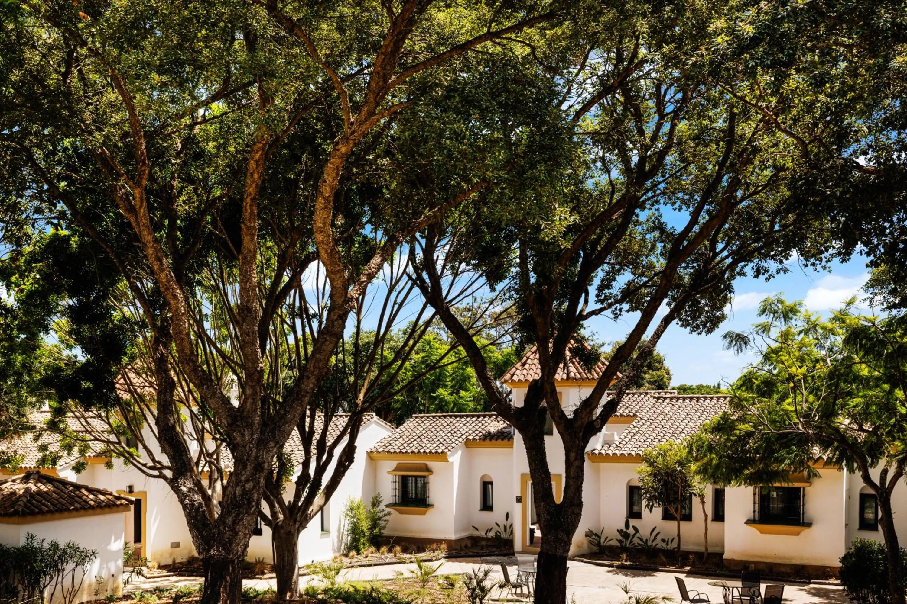 Property building in Hotel Inmood San Roque