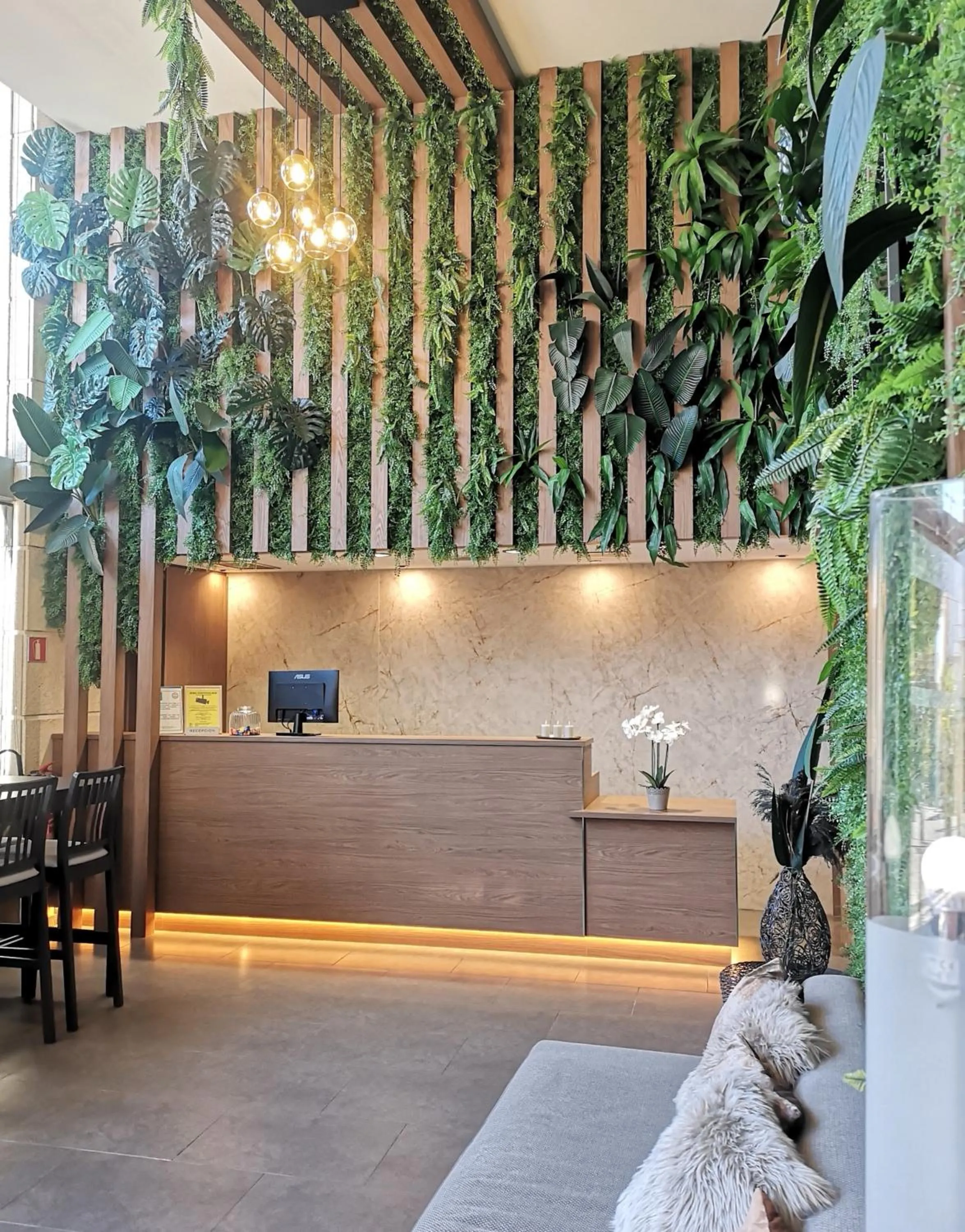 Lobby or reception in Hotel Salymar