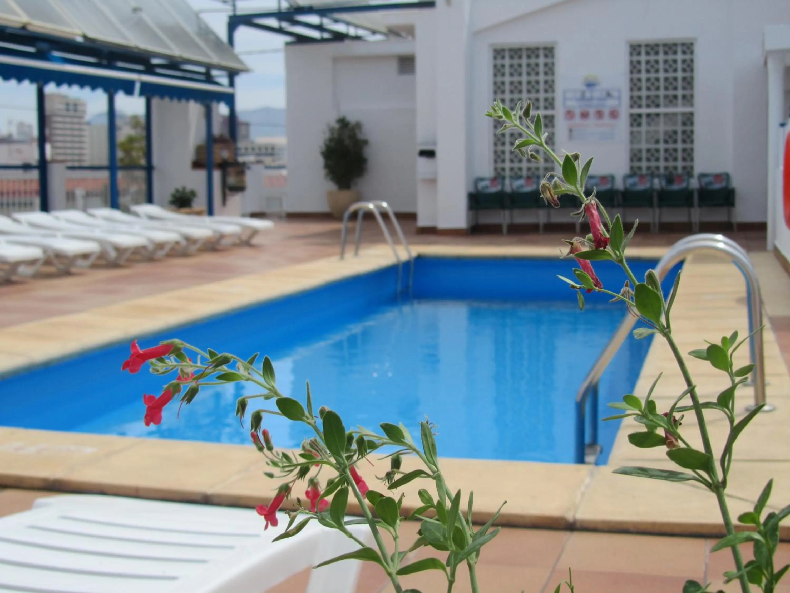 Property building in Hotel Mareny Benidorm