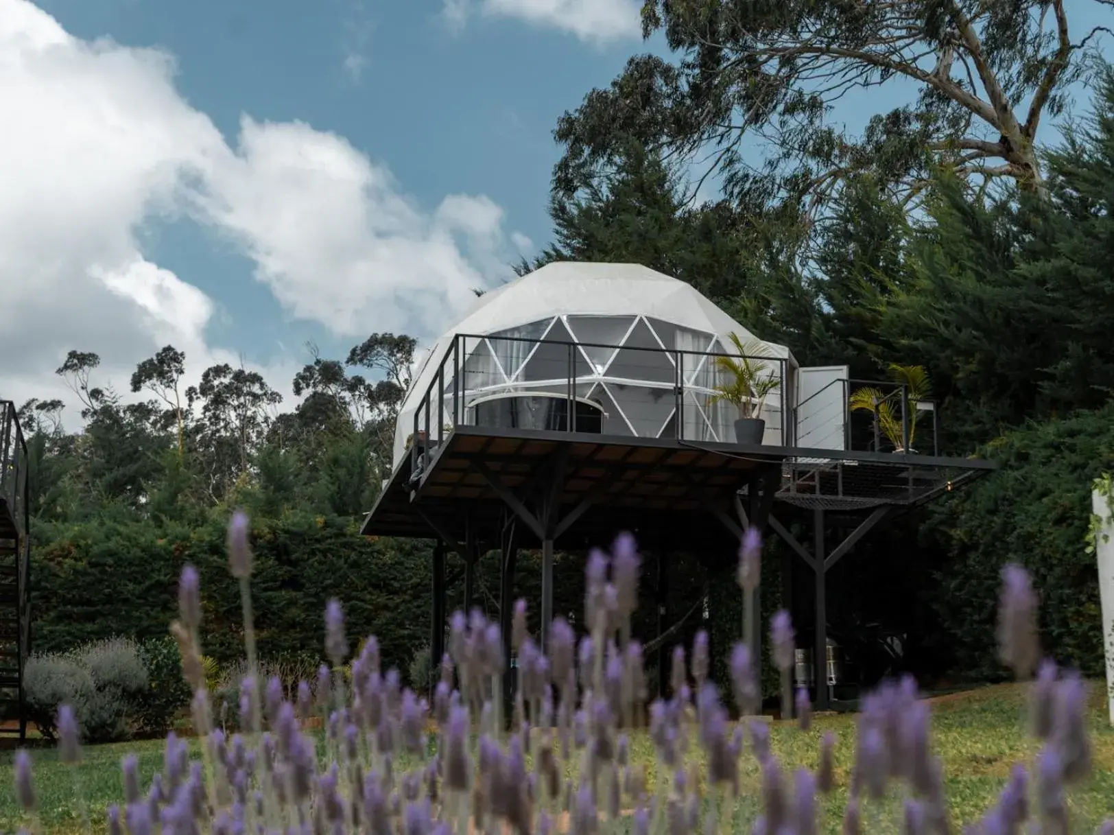 Domo Pajcha, Samaipata Glamping Domo Pajcha, Samaipata Glamping