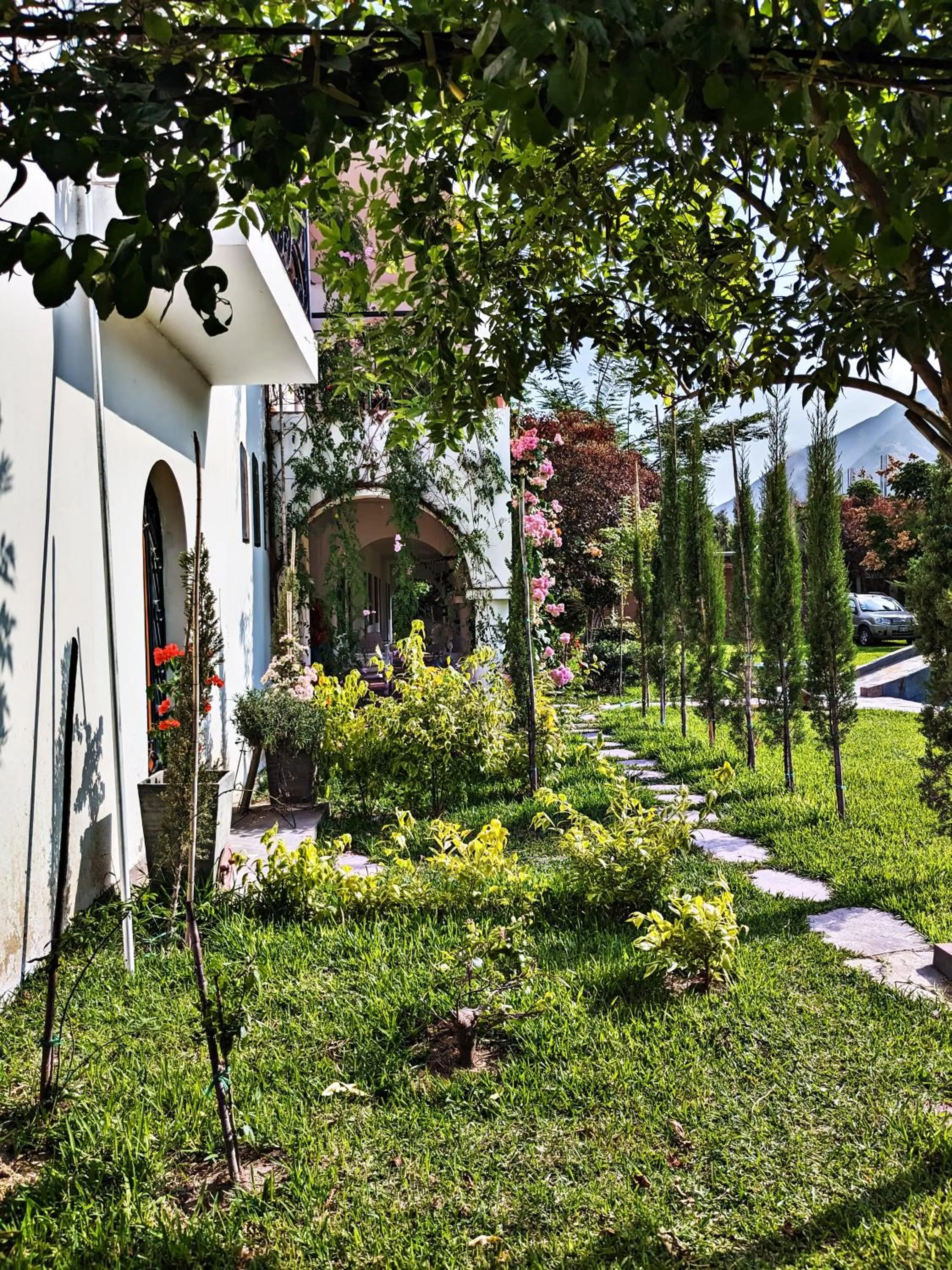 Garden in Casa Hotel Mamaluna
