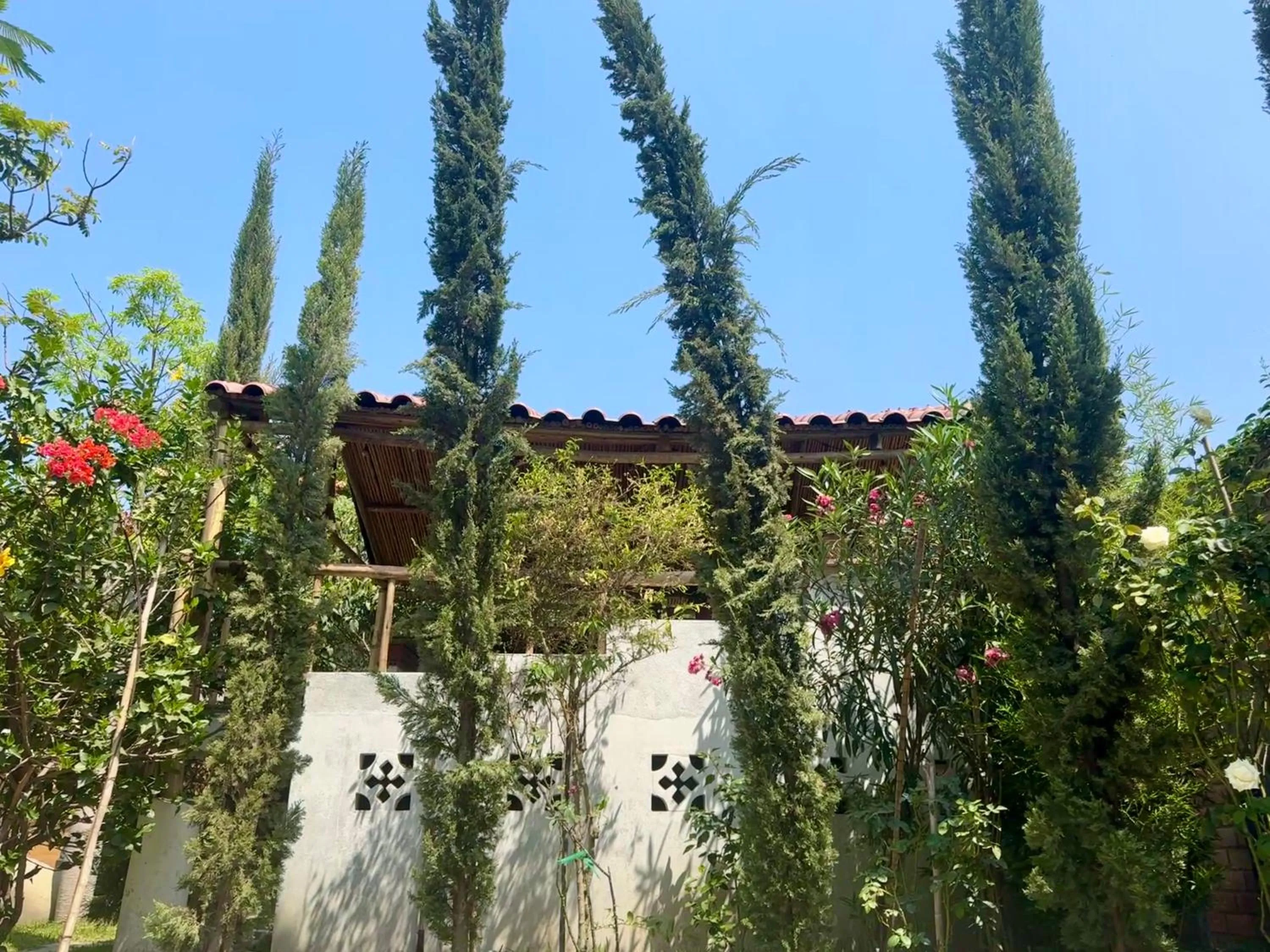 Garden view in Casa Hotel Mamaluna