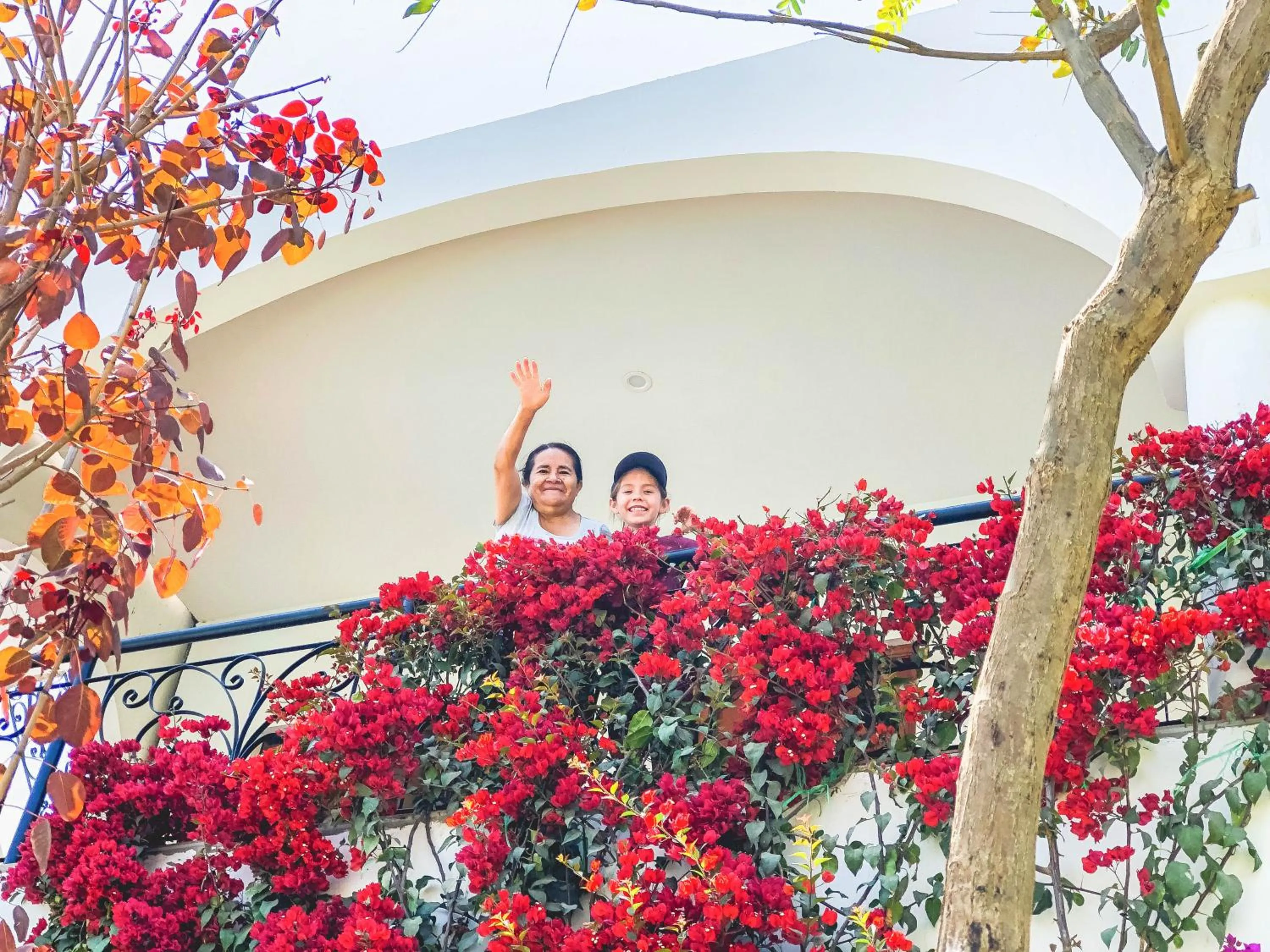 Balcony/Terrace in Casa Hotel Mamaluna