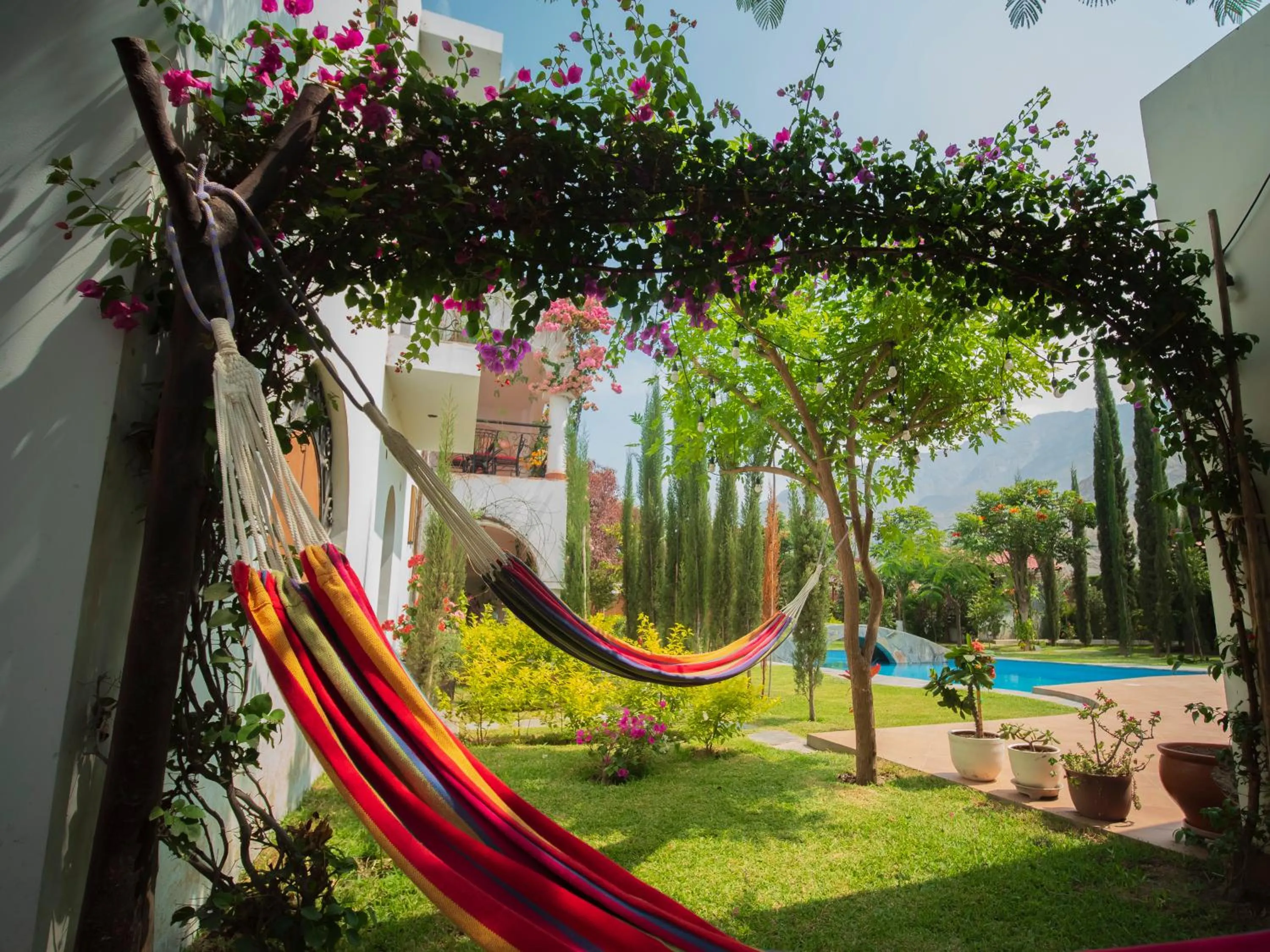 Garden in Casa Hotel Mamaluna