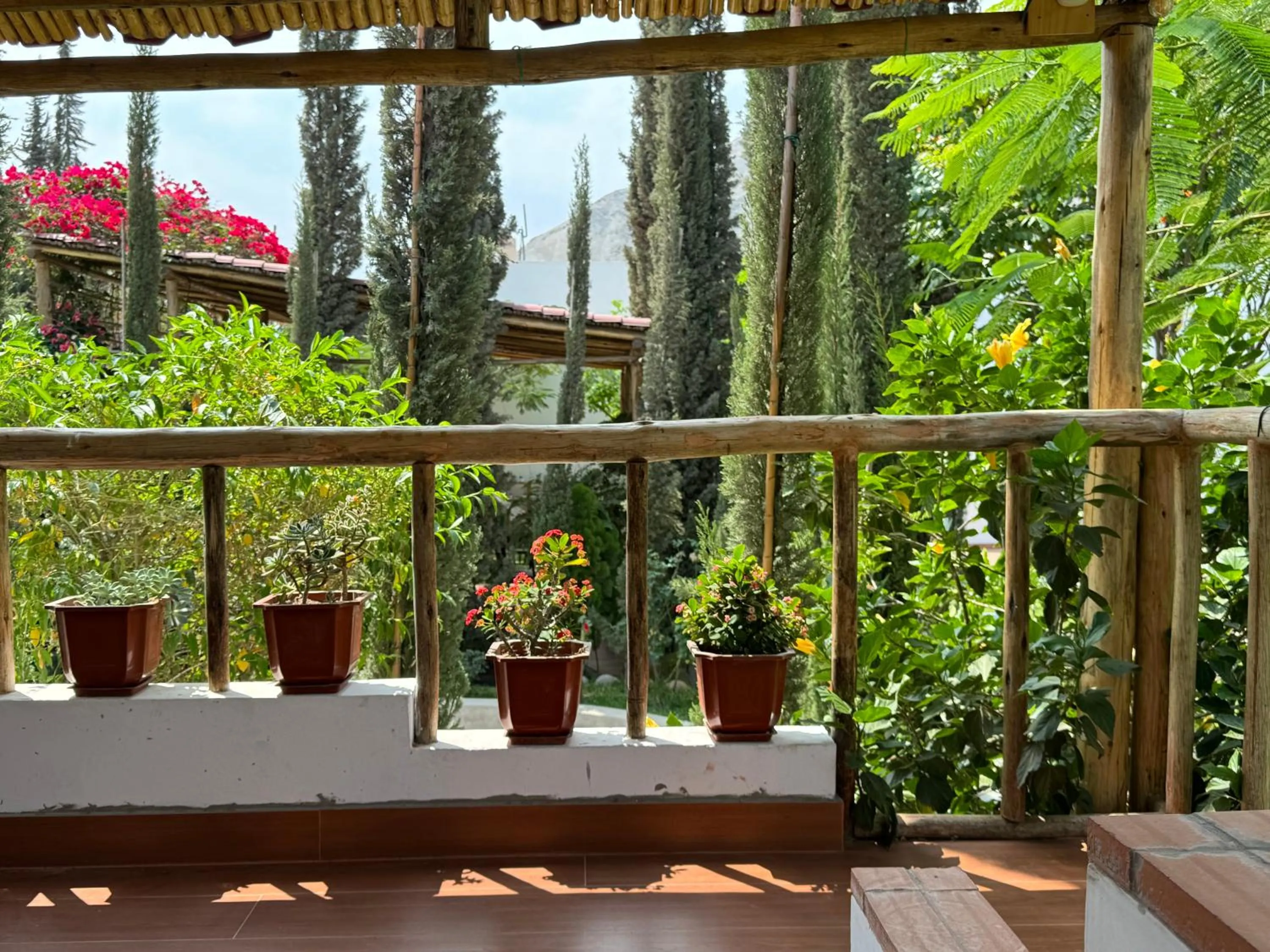 Balcony/Terrace in Casa Hotel Mamaluna