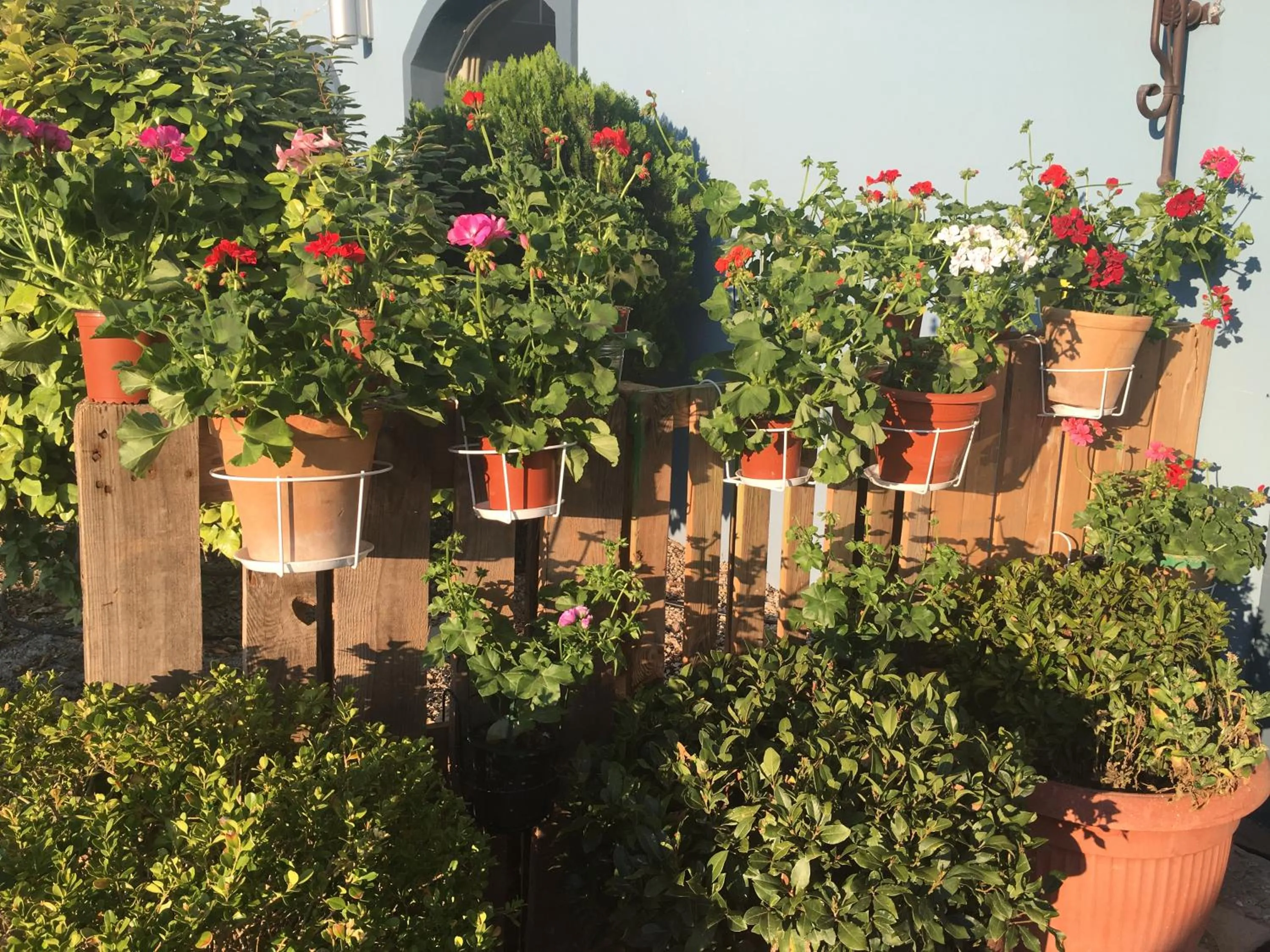 Hotel Patilla Ciudad de Requena