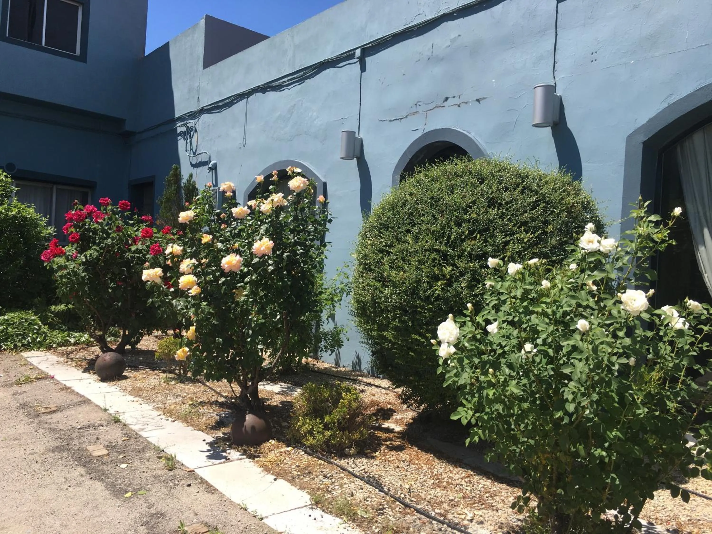 Hotel Patilla Ciudad de Requena