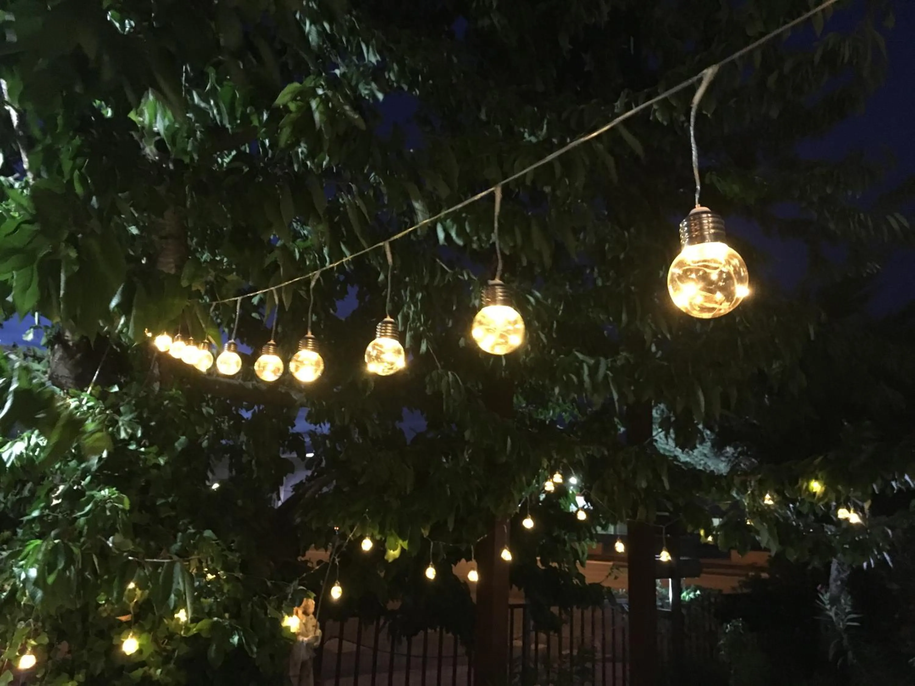 Hotel Patilla Ciudad de Requena