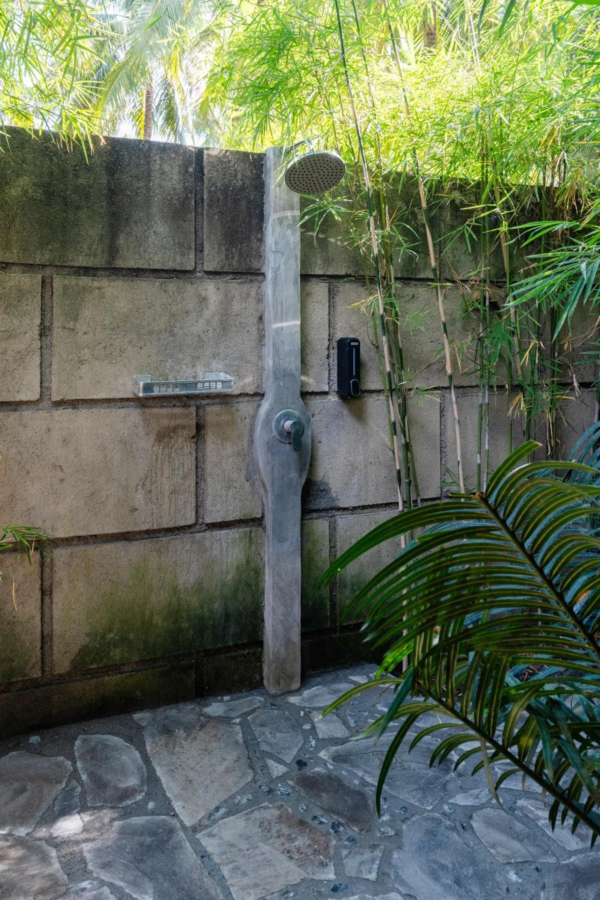 Day in Tahlia's Villa