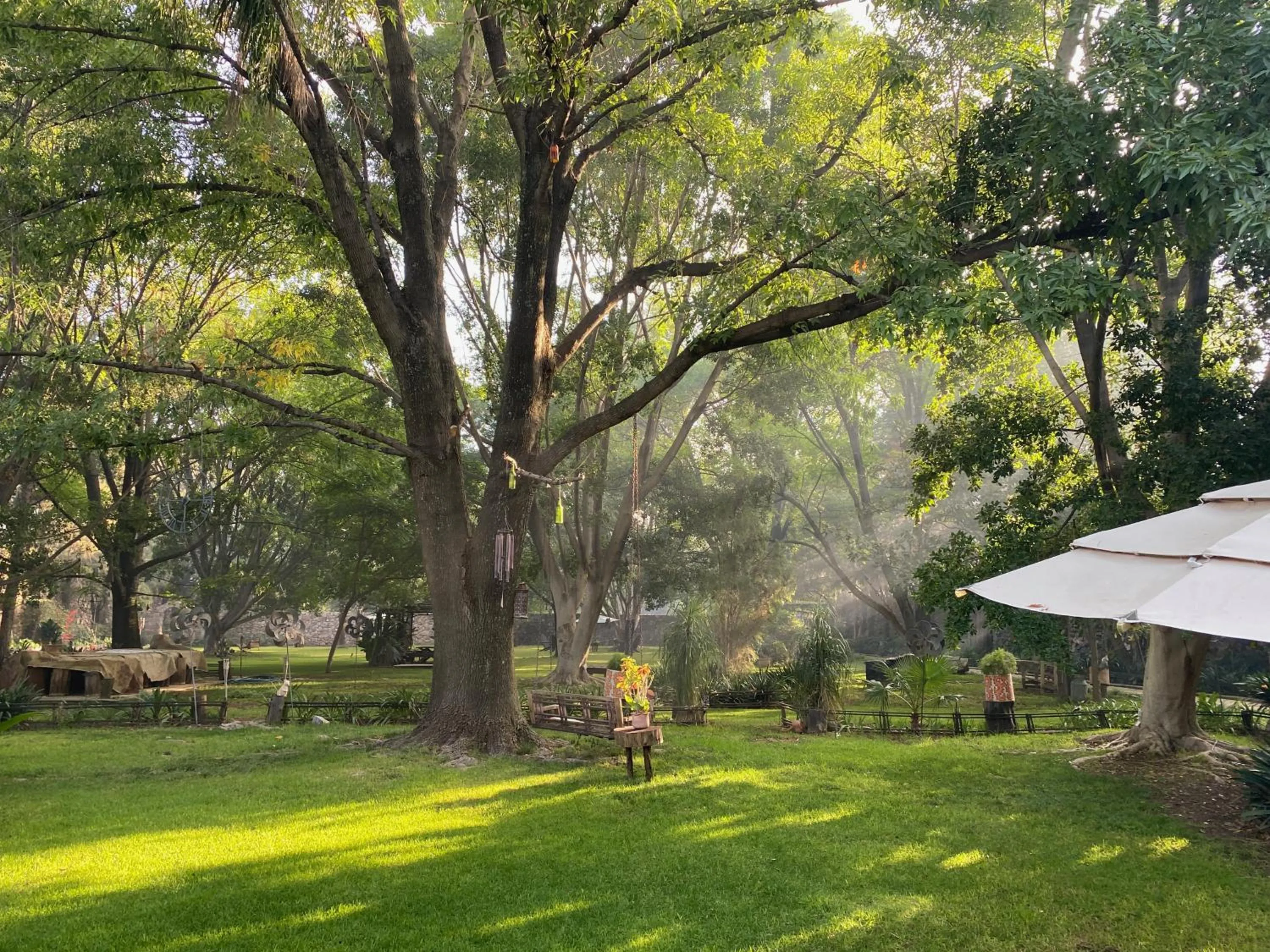 Natural landscape in Magnolias Jardin & Boutique Suites
