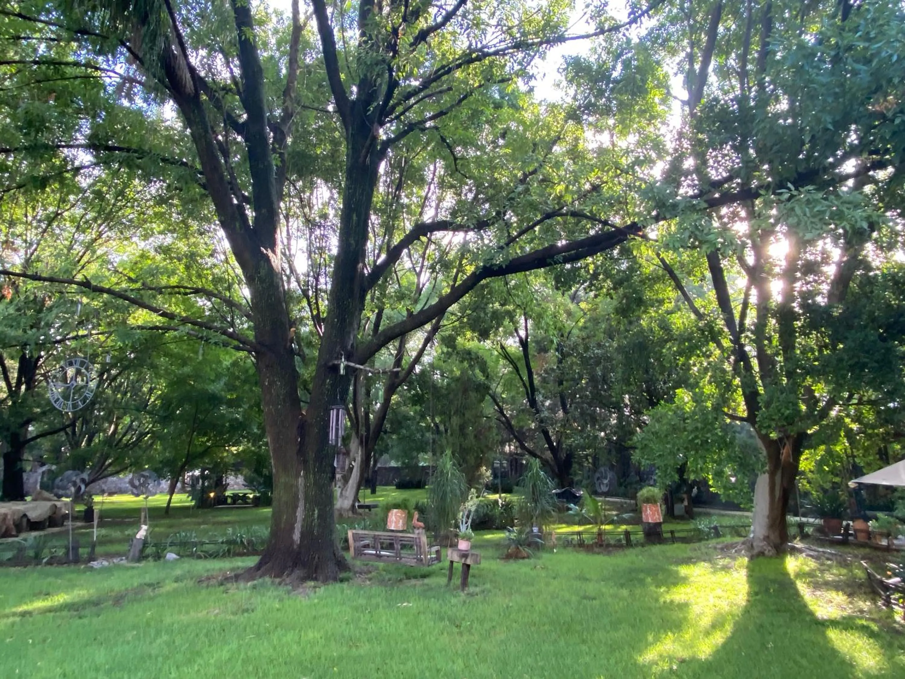 Magnolias Jardin & Boutique Suites