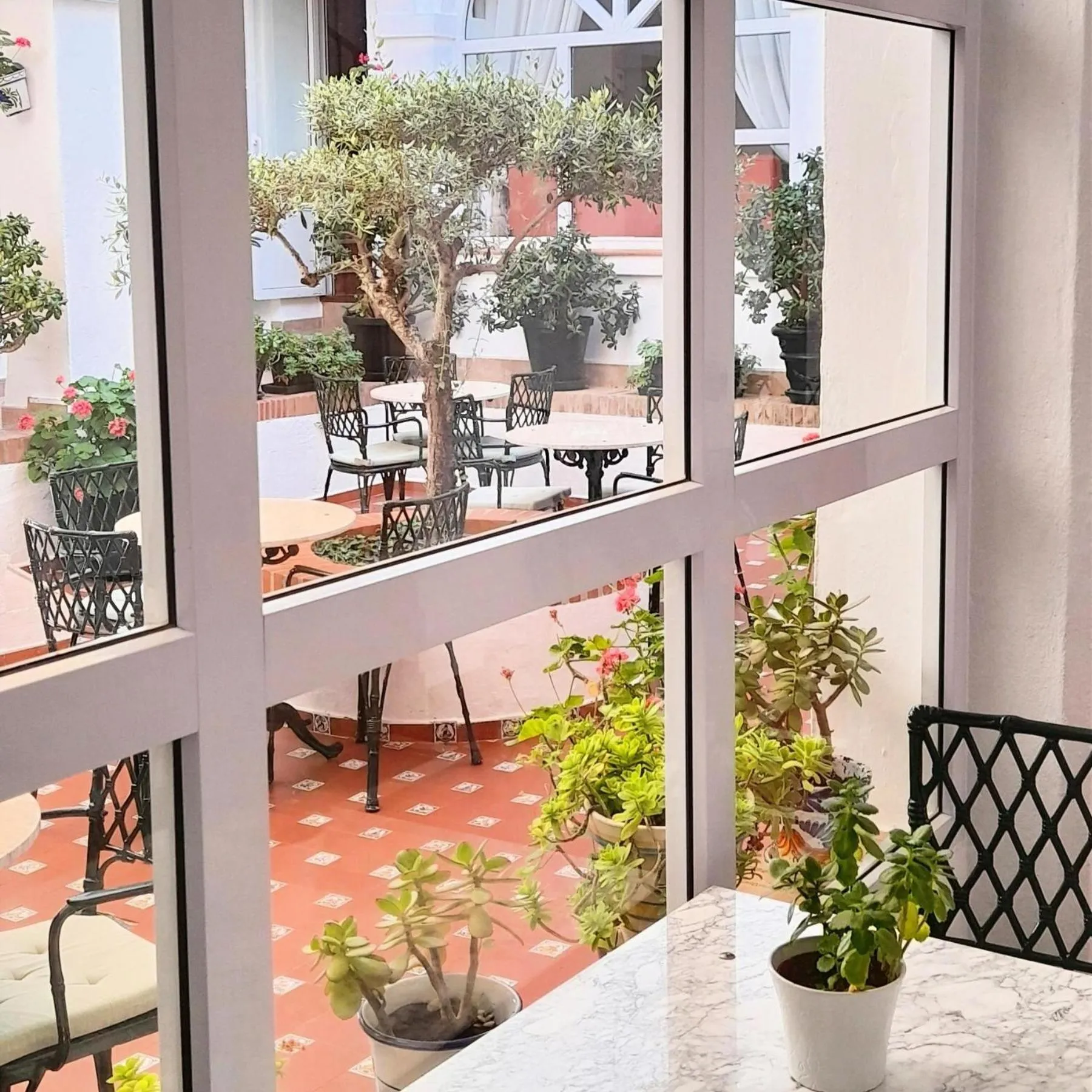 Property building in Hotel Los Olivos