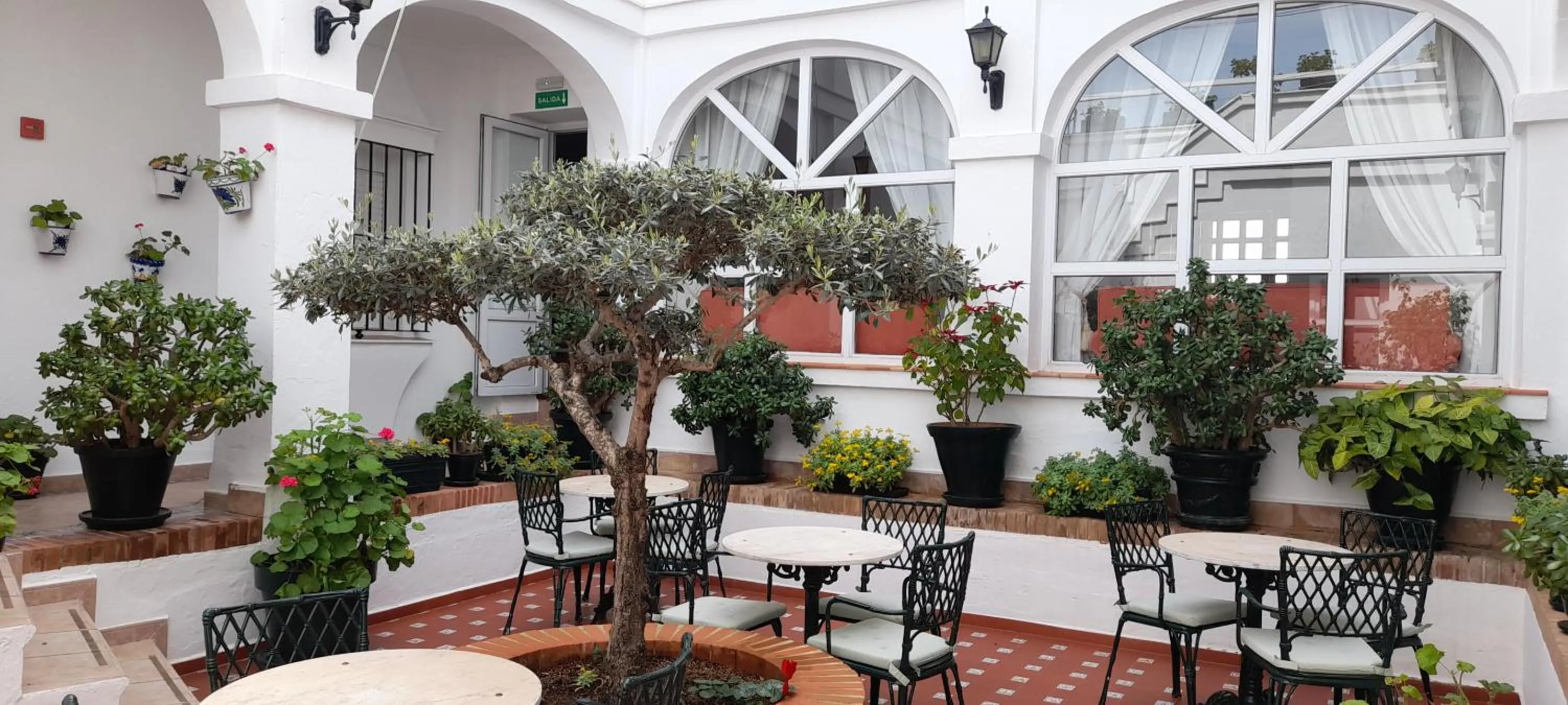 Property building in Hotel Los Olivos